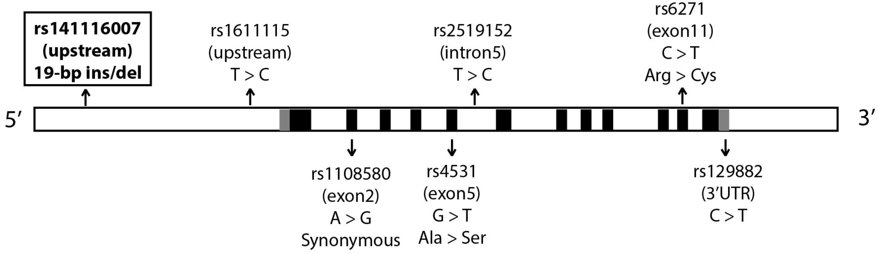 Medicina 58 01228 g001