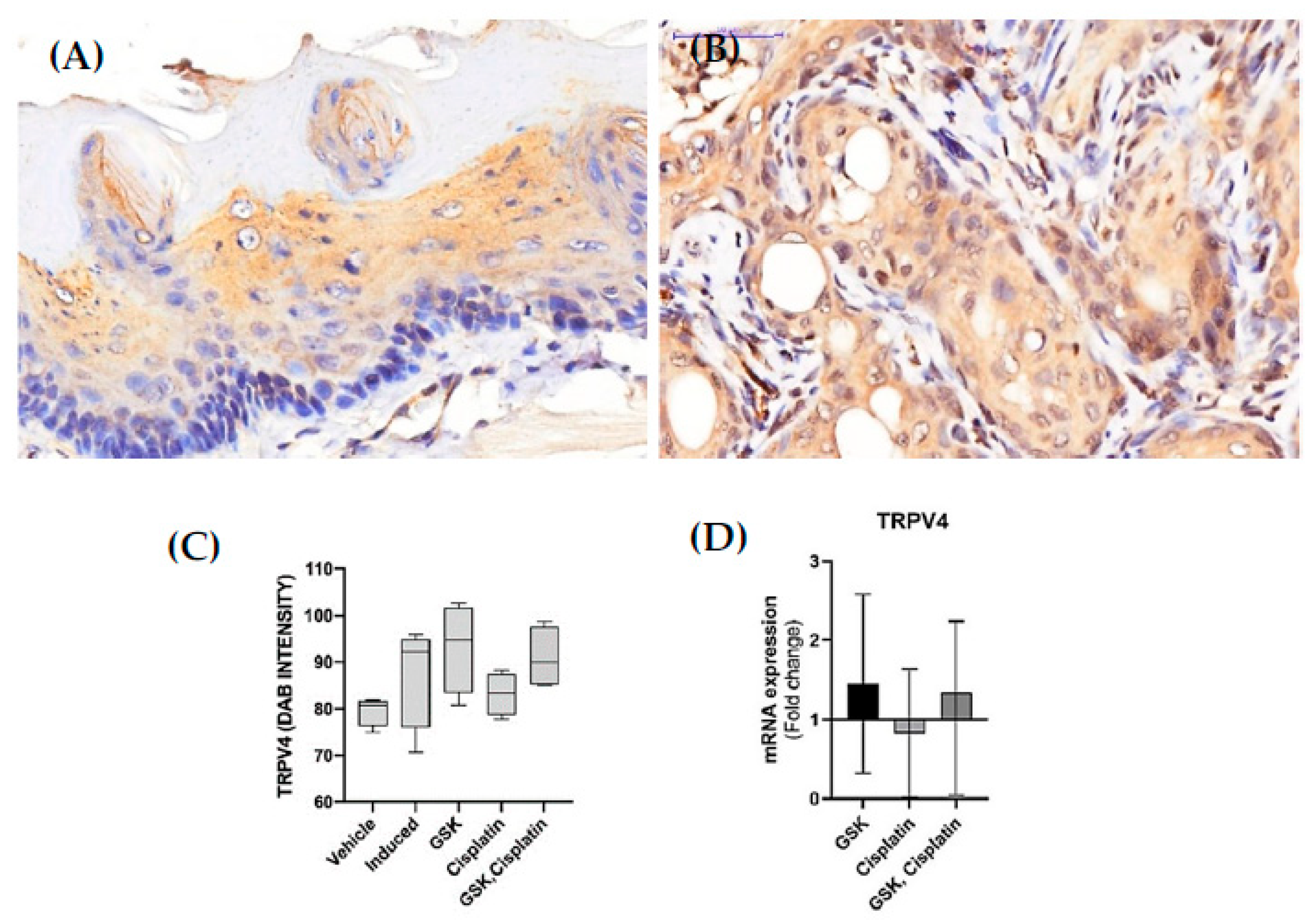 Medicina 58 01229 g003 Medicina 58 01229 g003