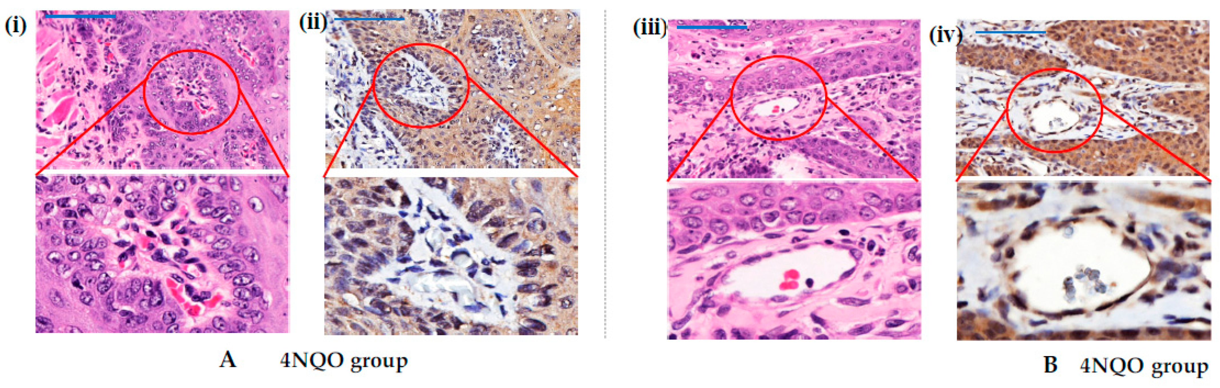 Medicina 58 01229 g004 Medicina 58 01229 g004