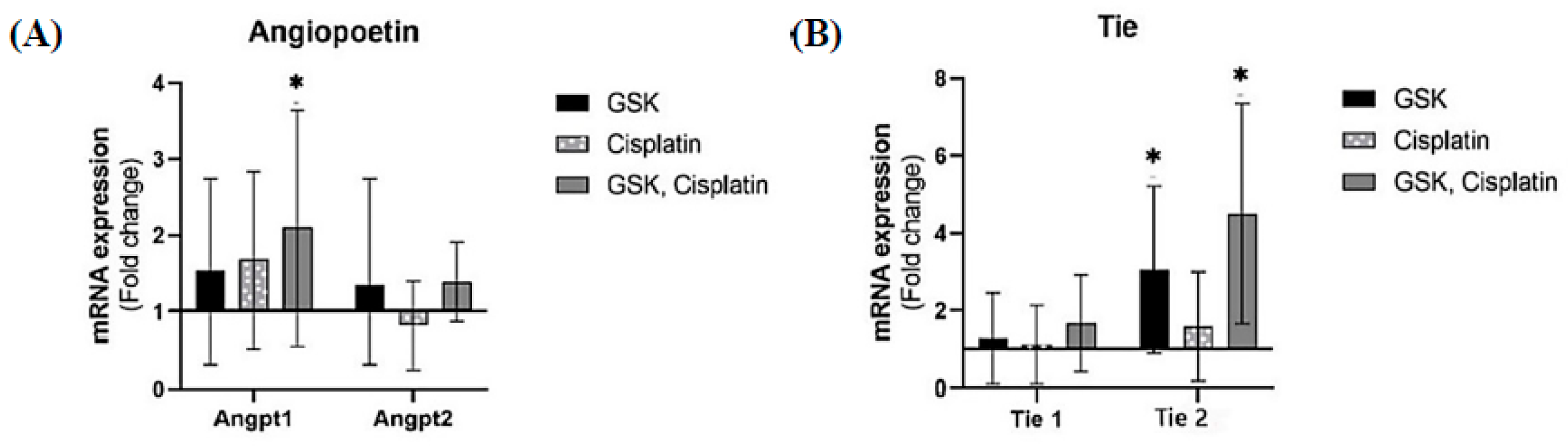 Medicina 58 01229 g006 Medicina 58 01229 g006