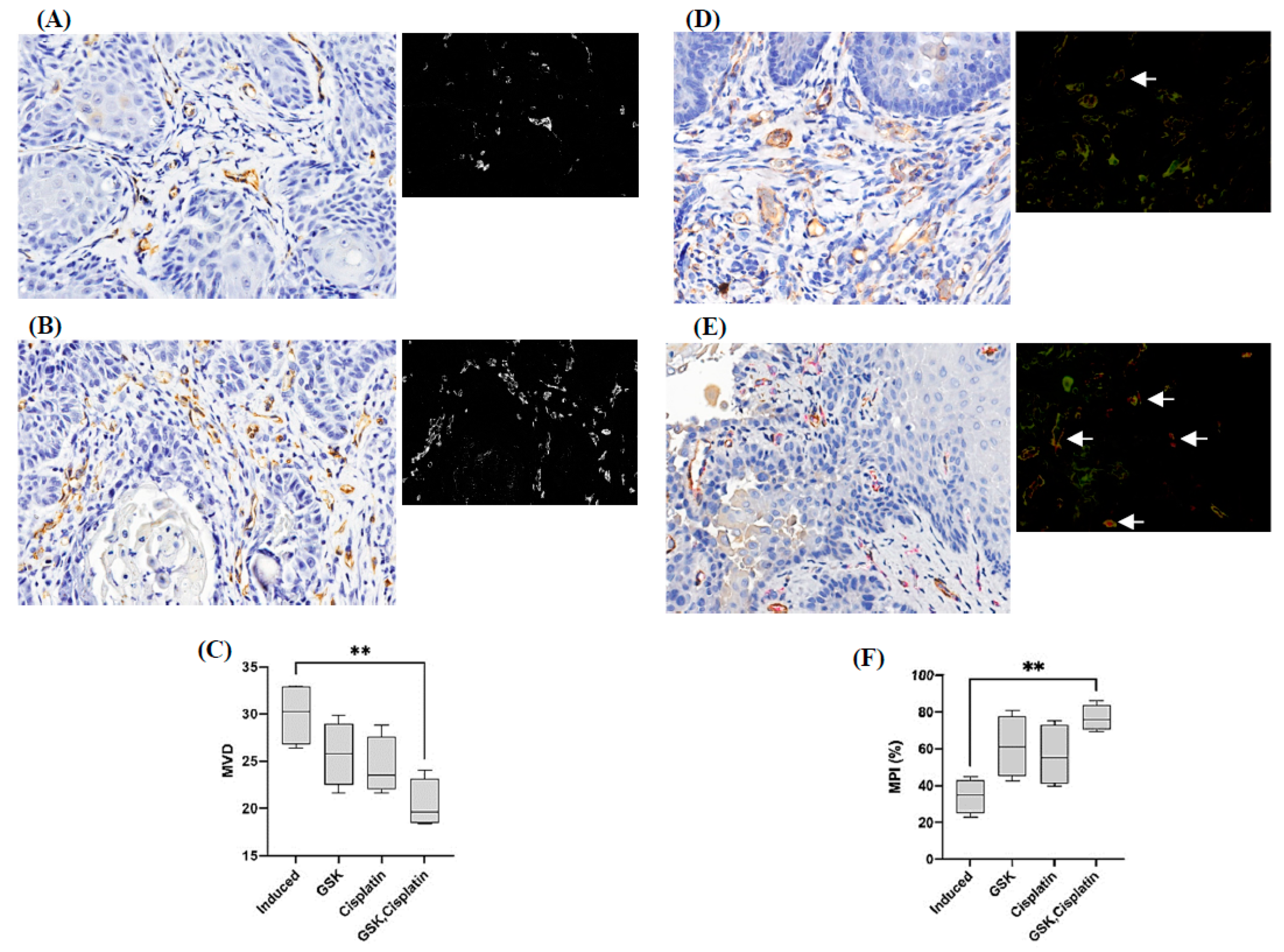 Medicina 58 01229 g007 Medicina 58 01229 g007