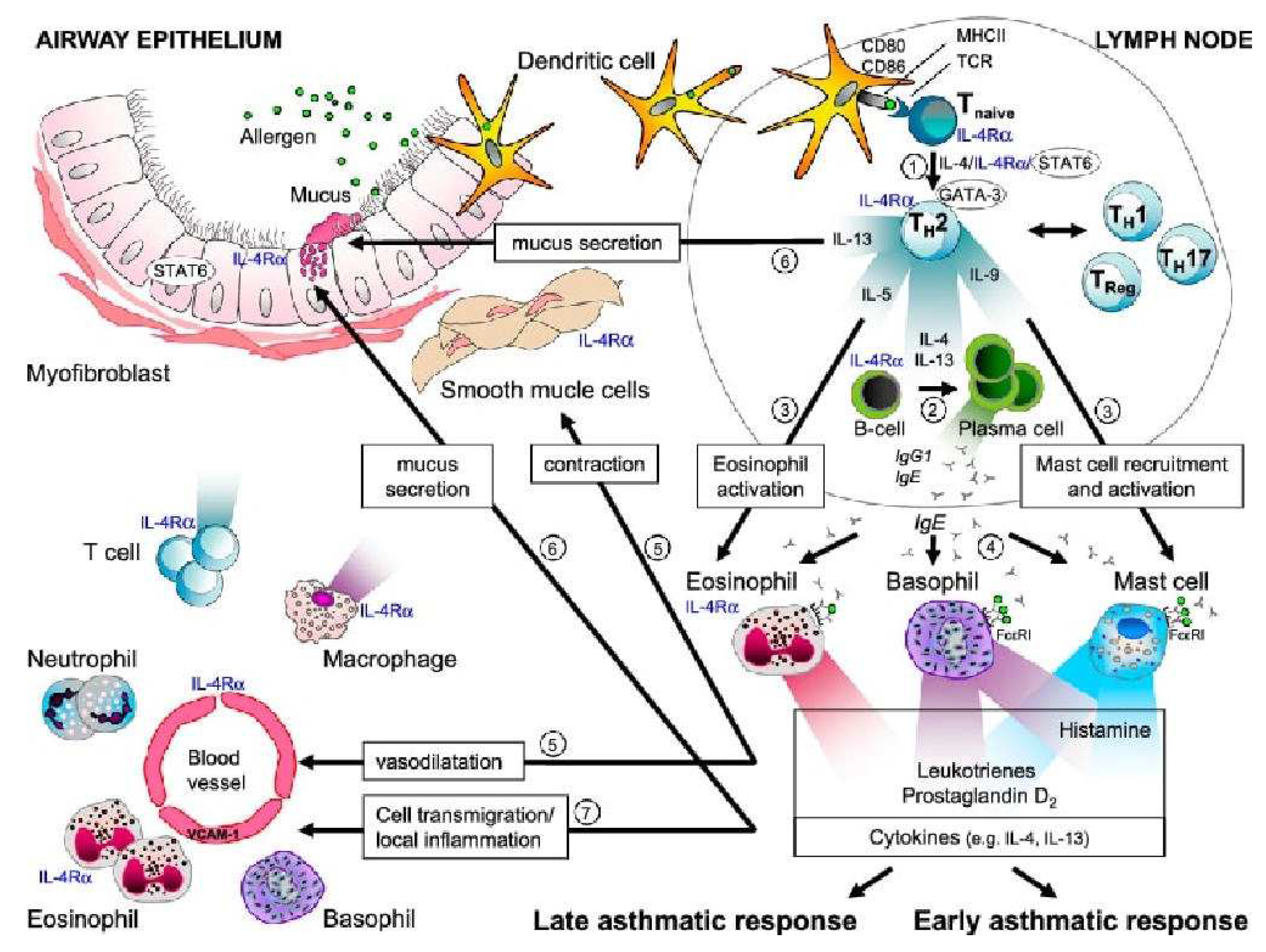 Medicina 58 01236 g002