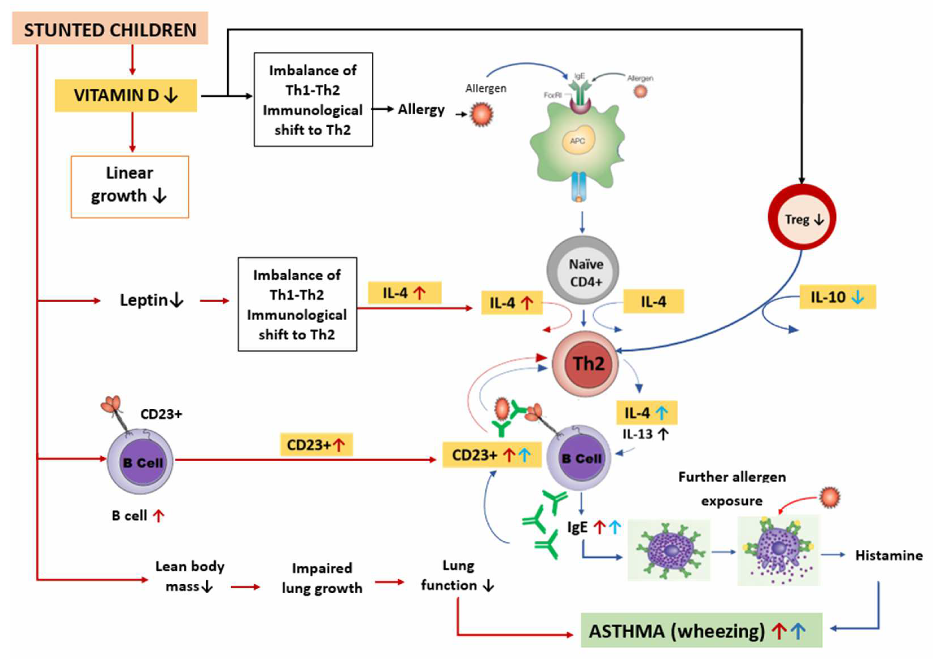 Medicina 58 01236 g004