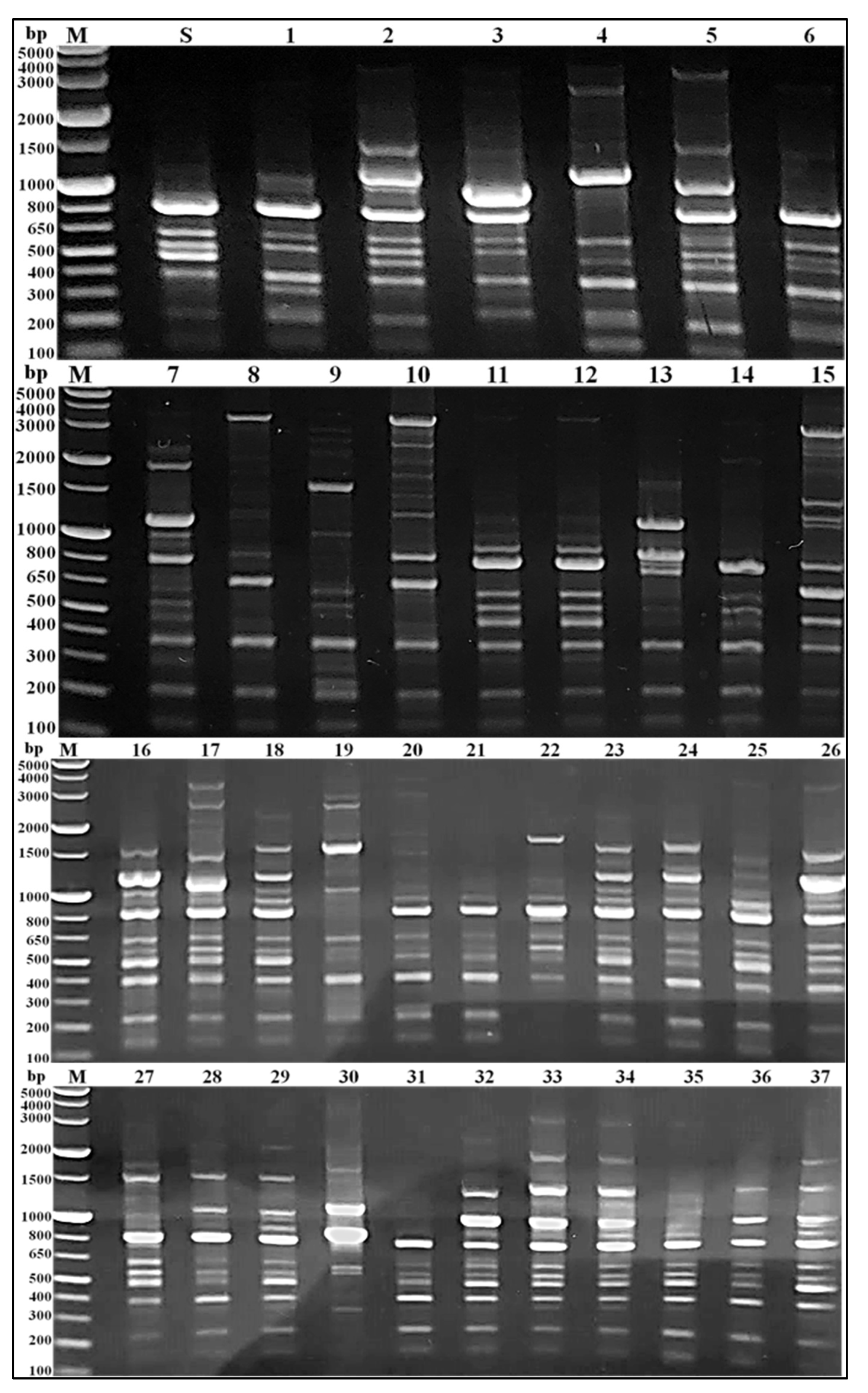 Medicina 58 01245 g005
