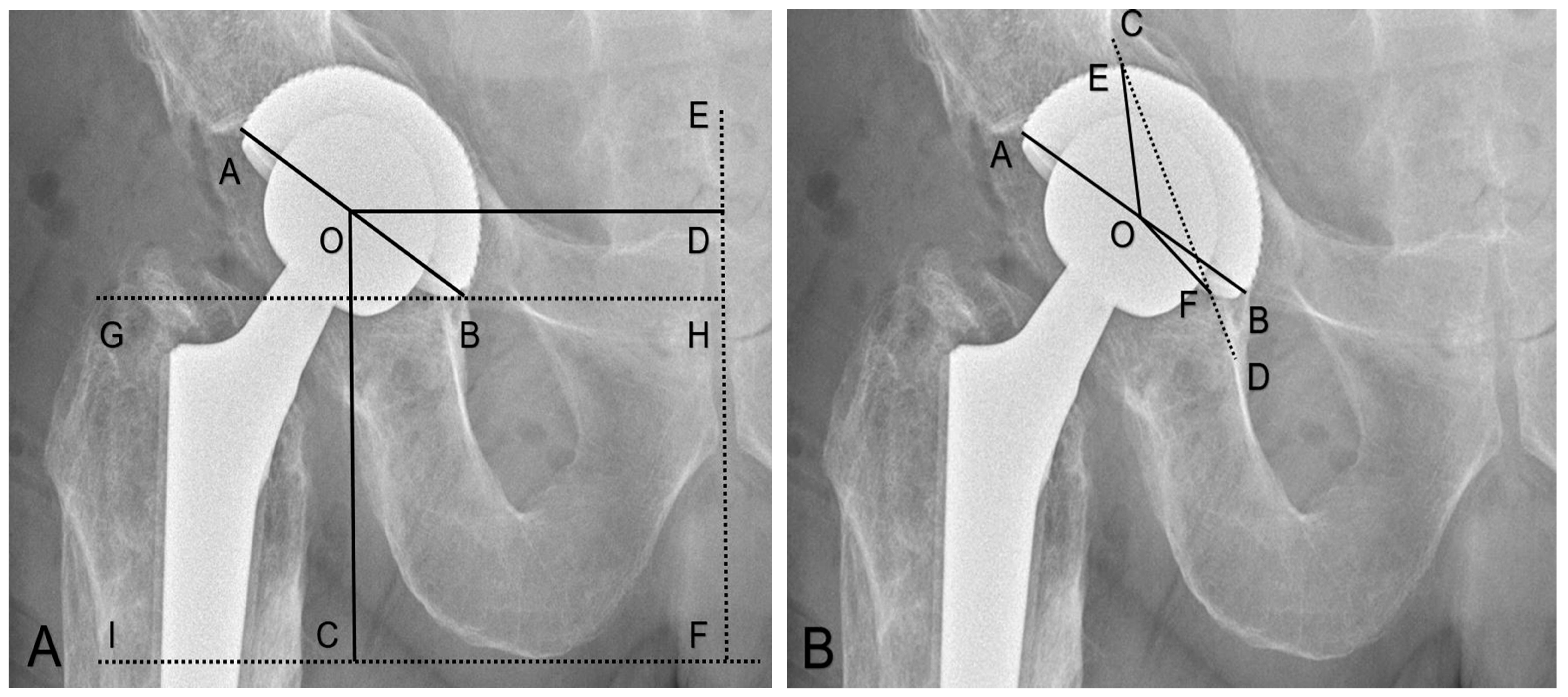 Medicina 58 01254 g001