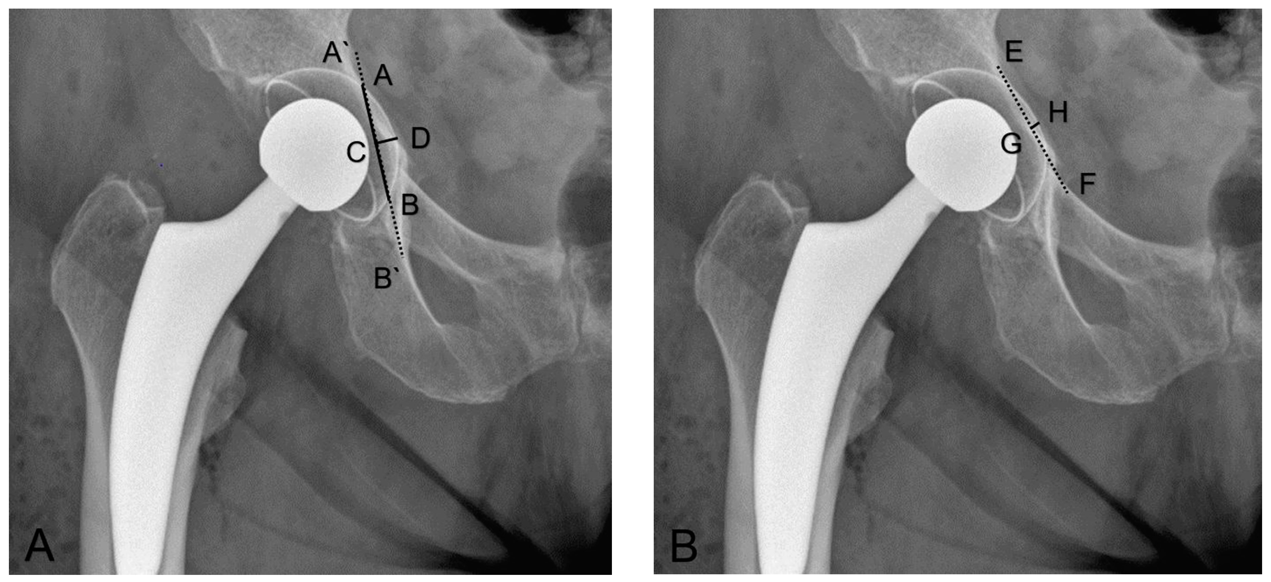 Medicina 58 01254 g002