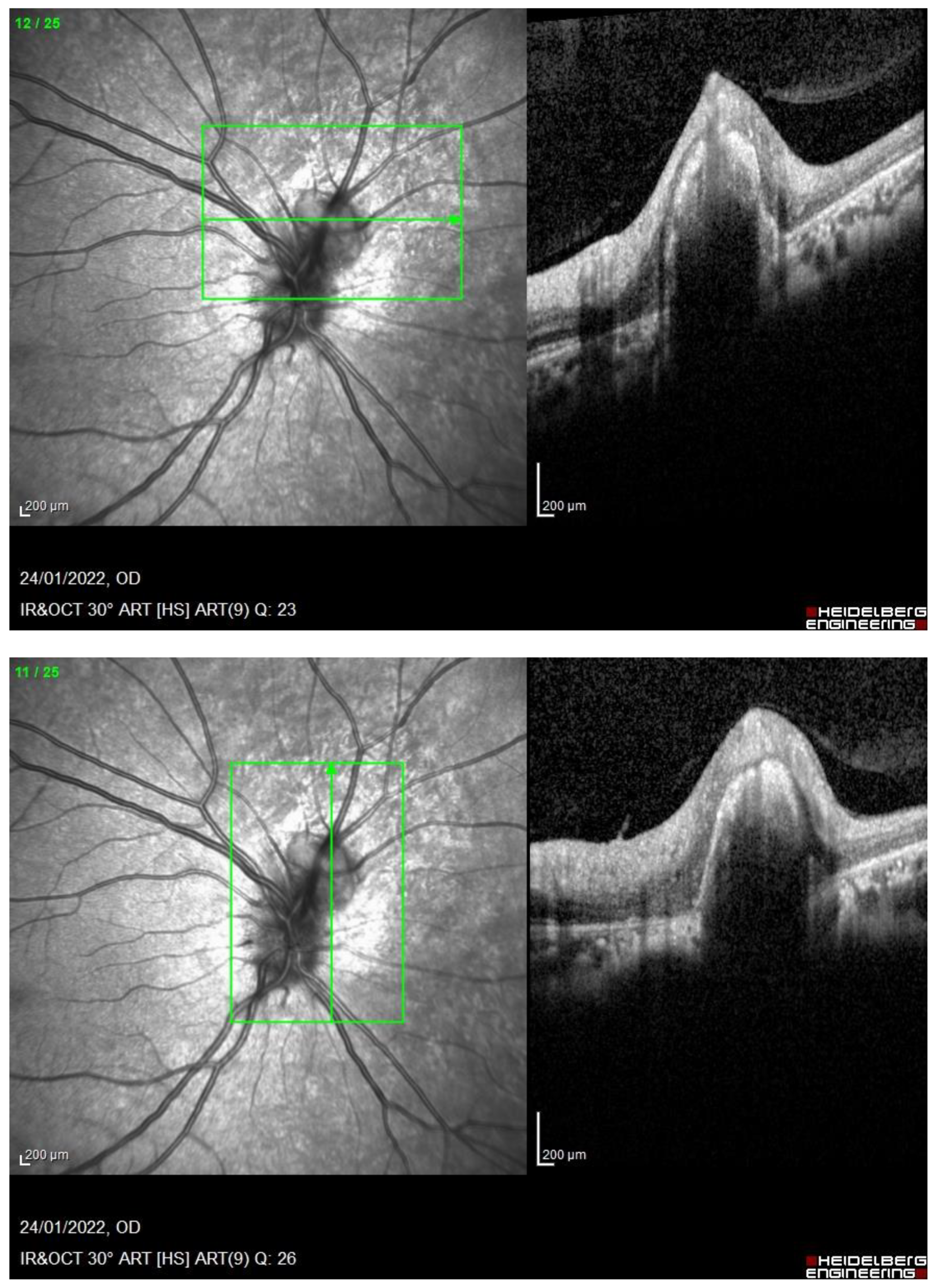 Medicina 58 01260 g003a 550