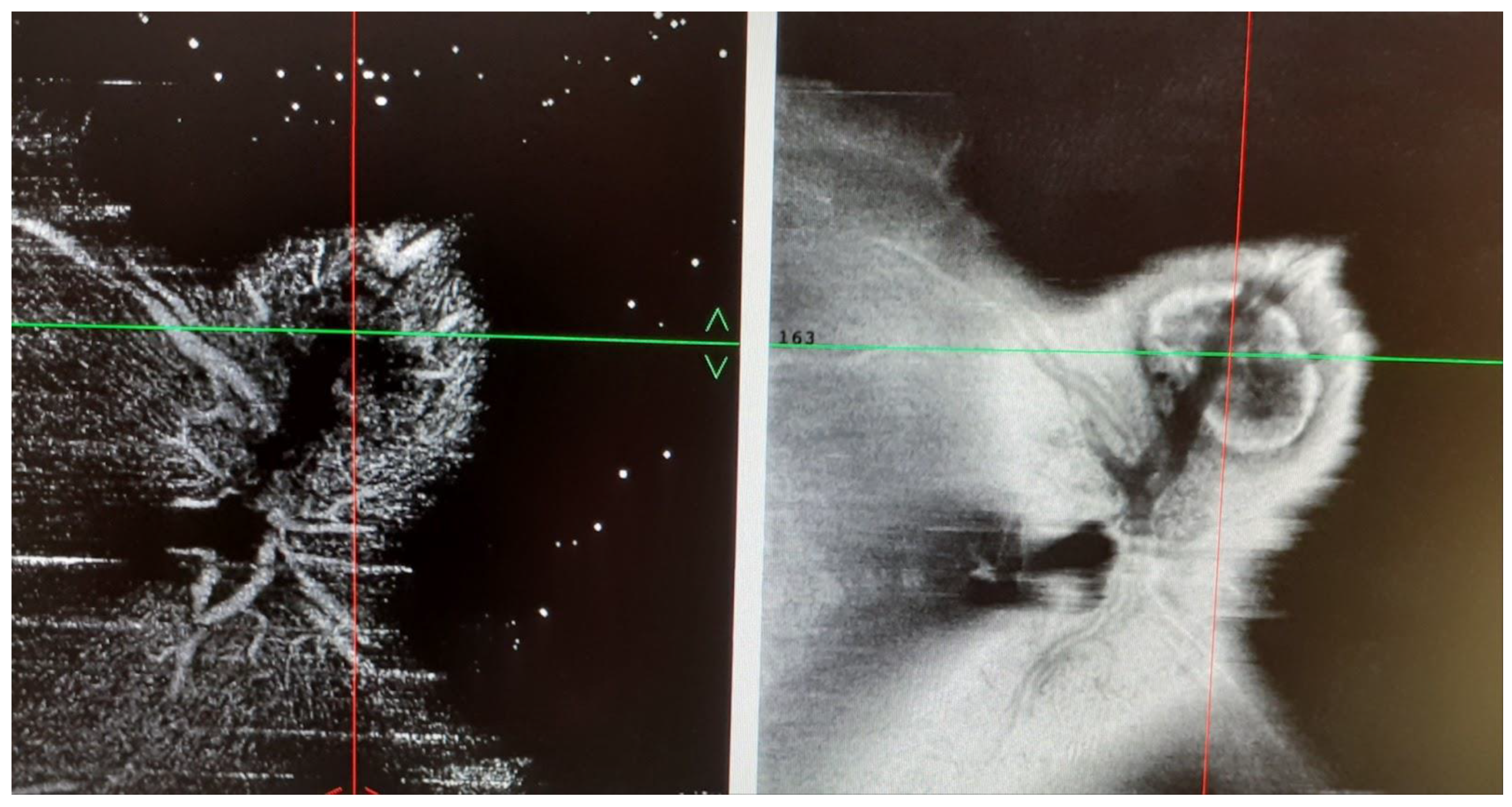 Medicina 58 01260 g004a 550