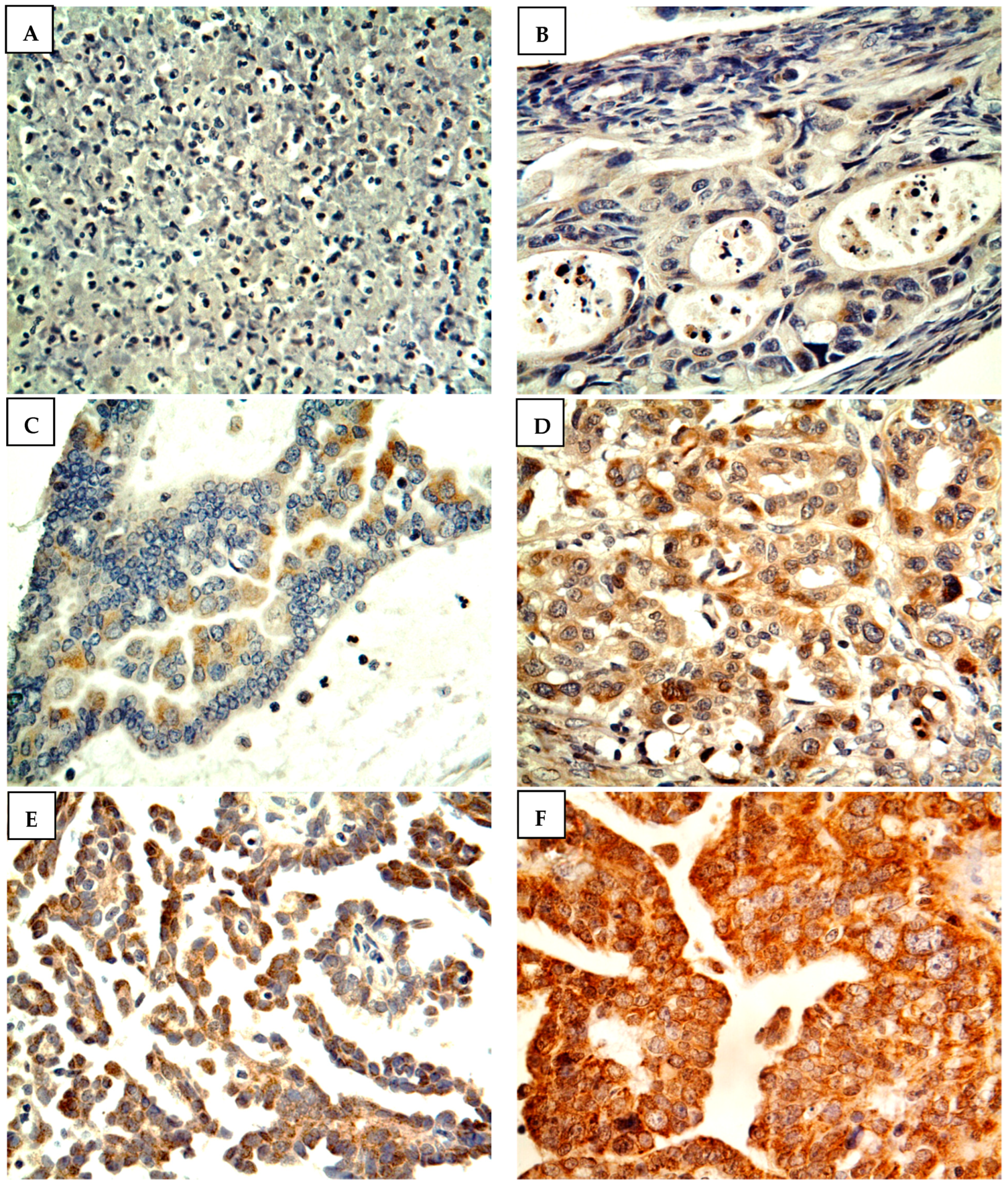 Medicina 58 01263 g001