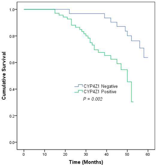 Cytochrome 4Z1 Expression Connotes Unfavorable Prognosis in Ovarian Cancers