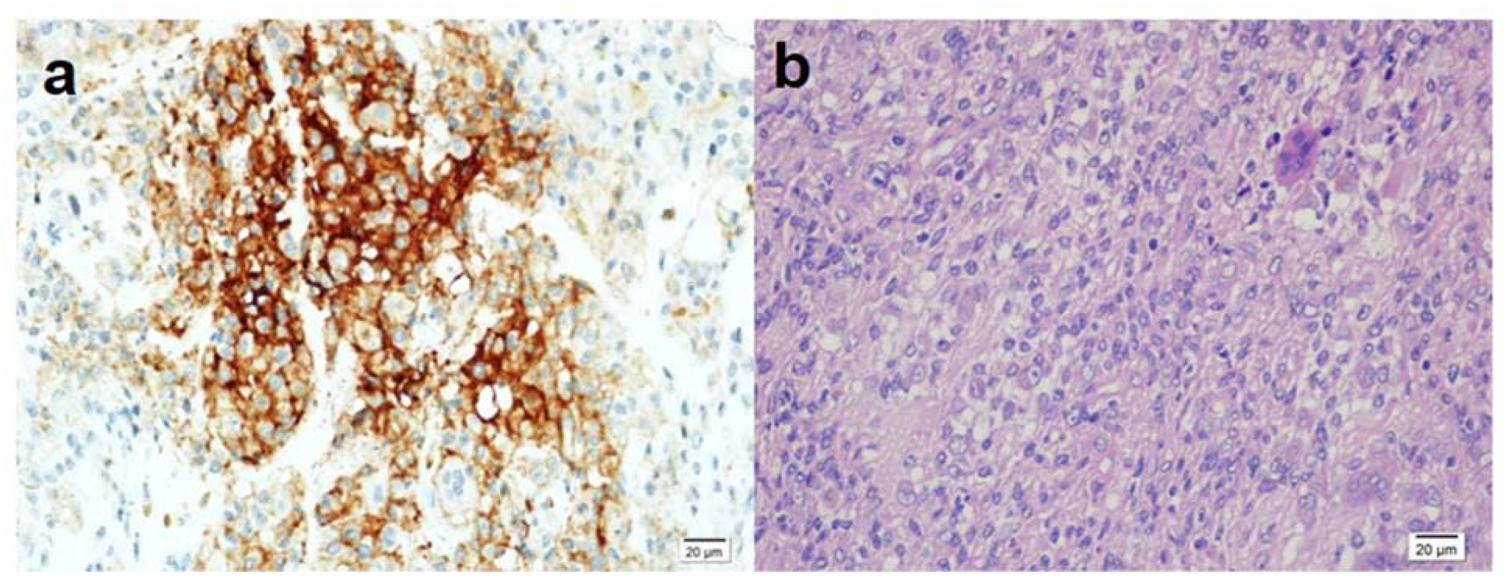 Medicina 58 01270 g001 550