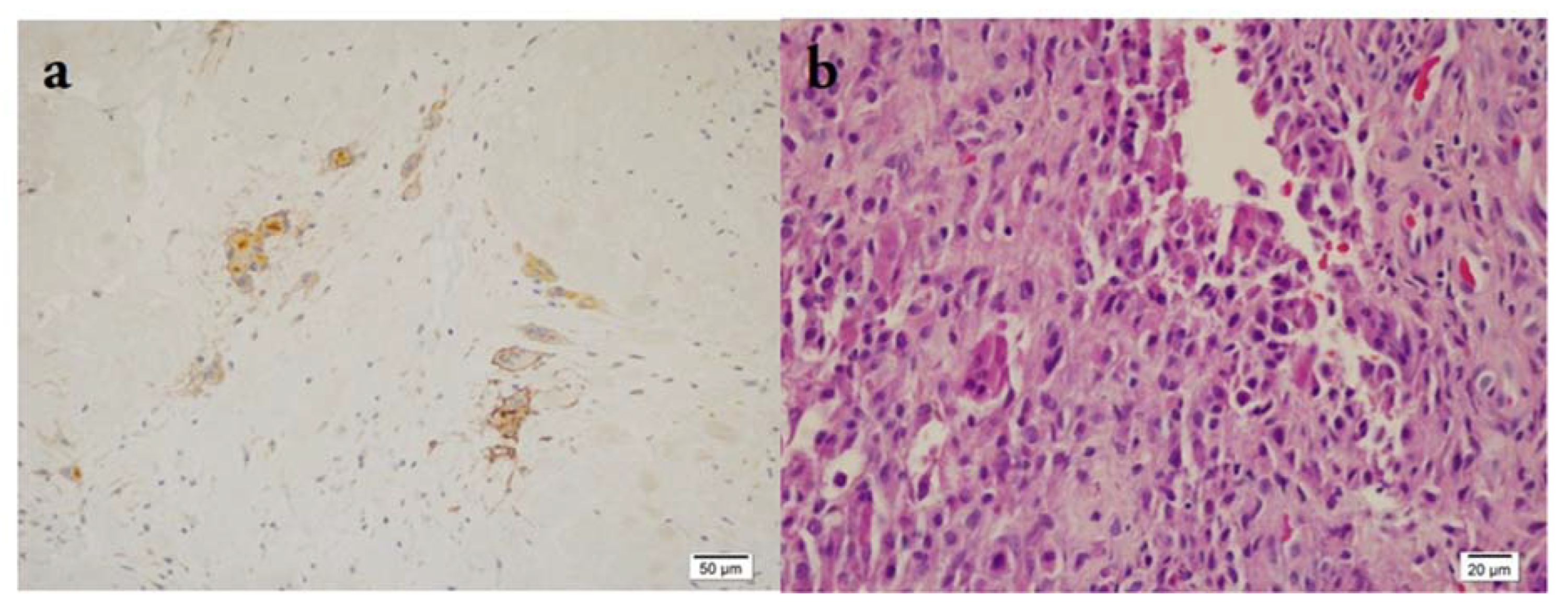 Medicina 58 01270 g002 550