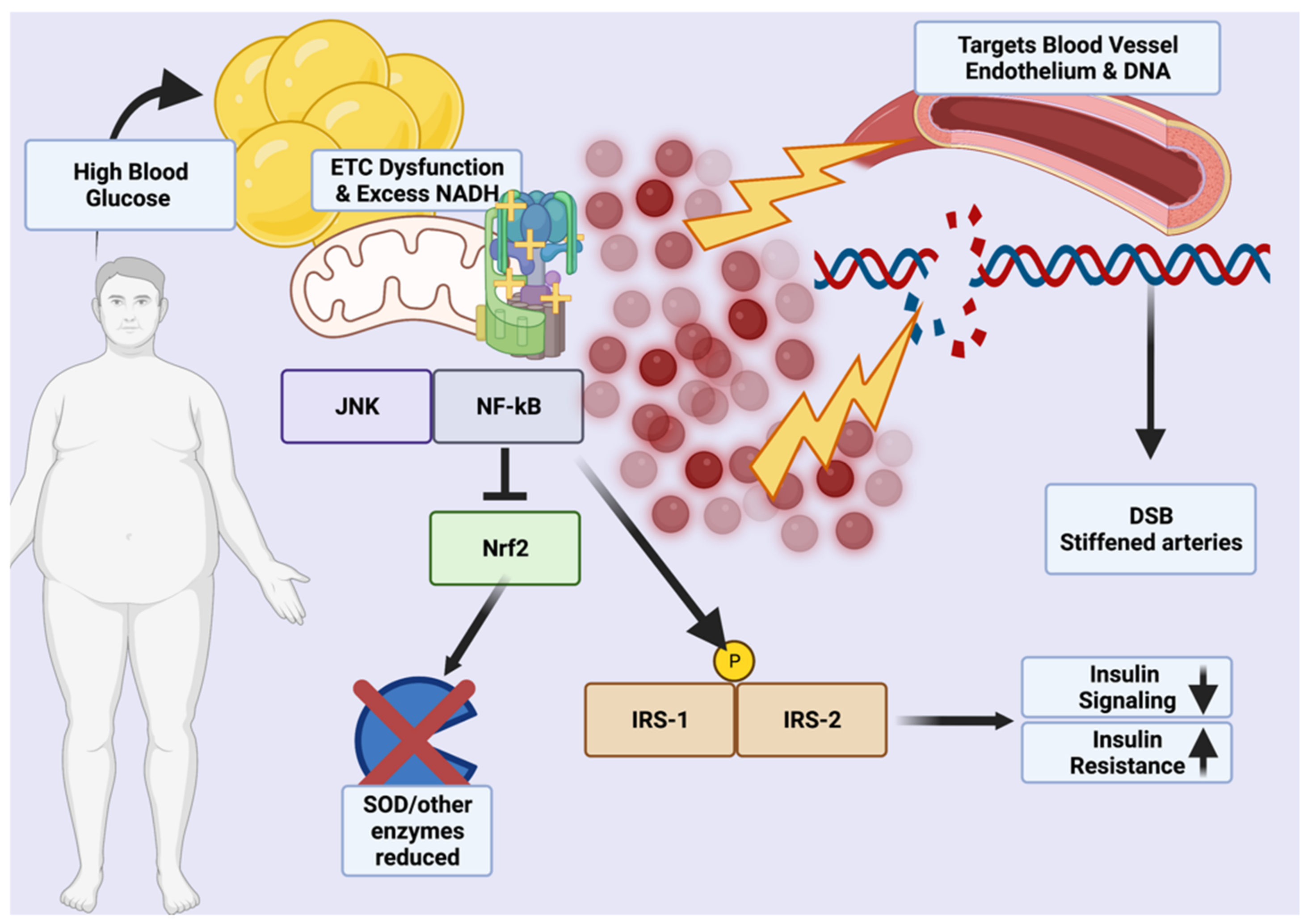 Medicina 58 01271 g001