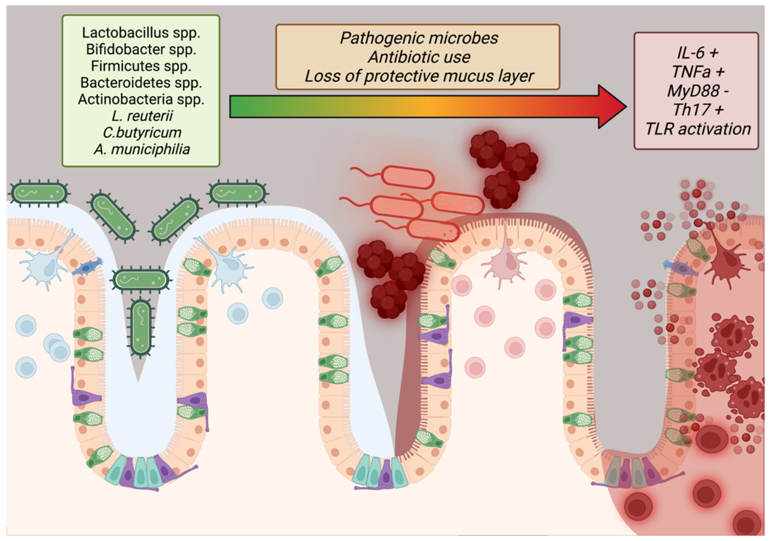Medicina 58 01271 g003