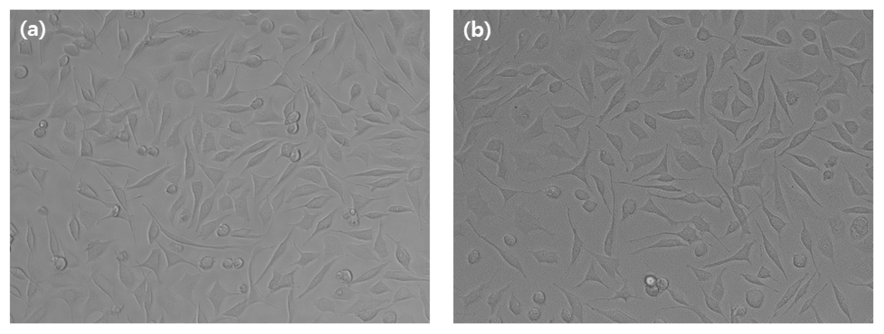 Medicina 58 01272 g002 550