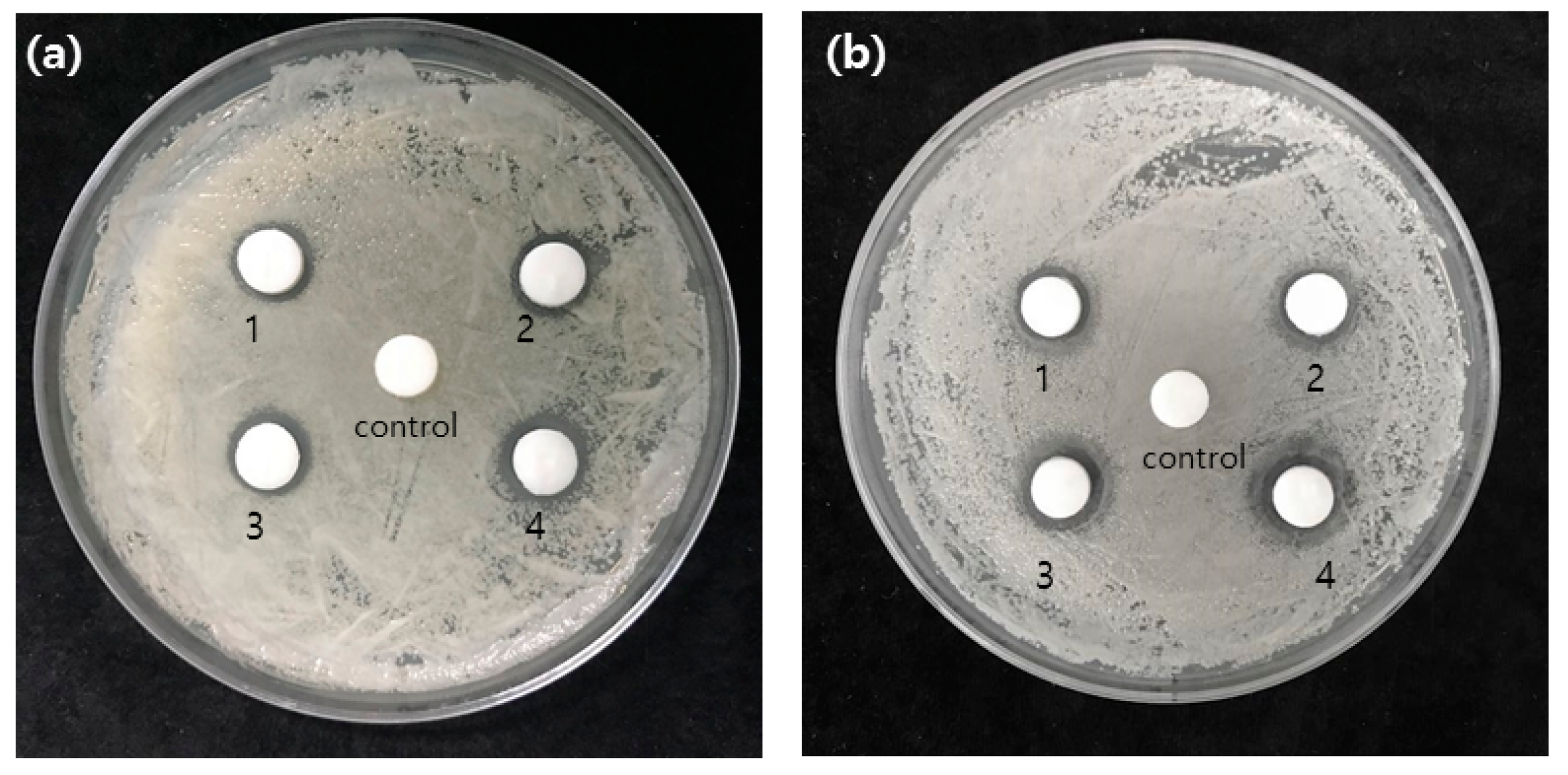 Medicina 58 01272 g004 550