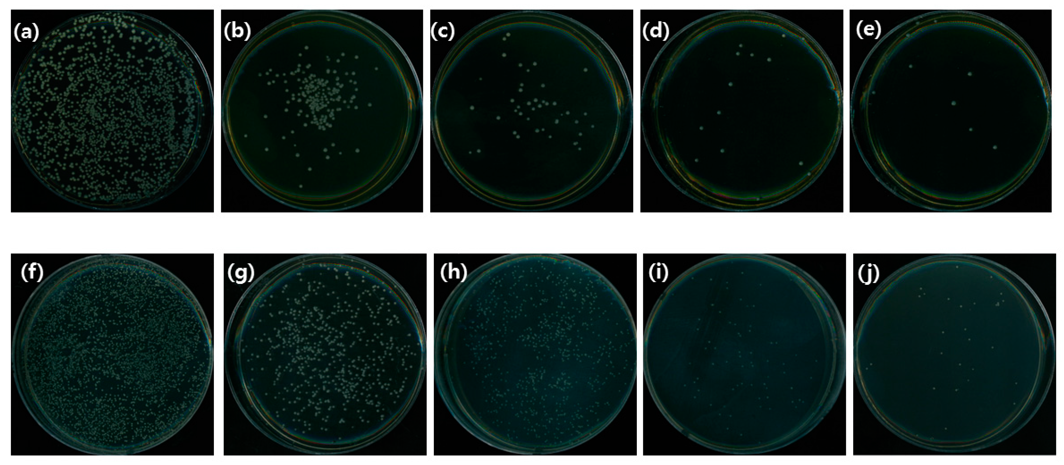 Medicina 58 01272 g005 550