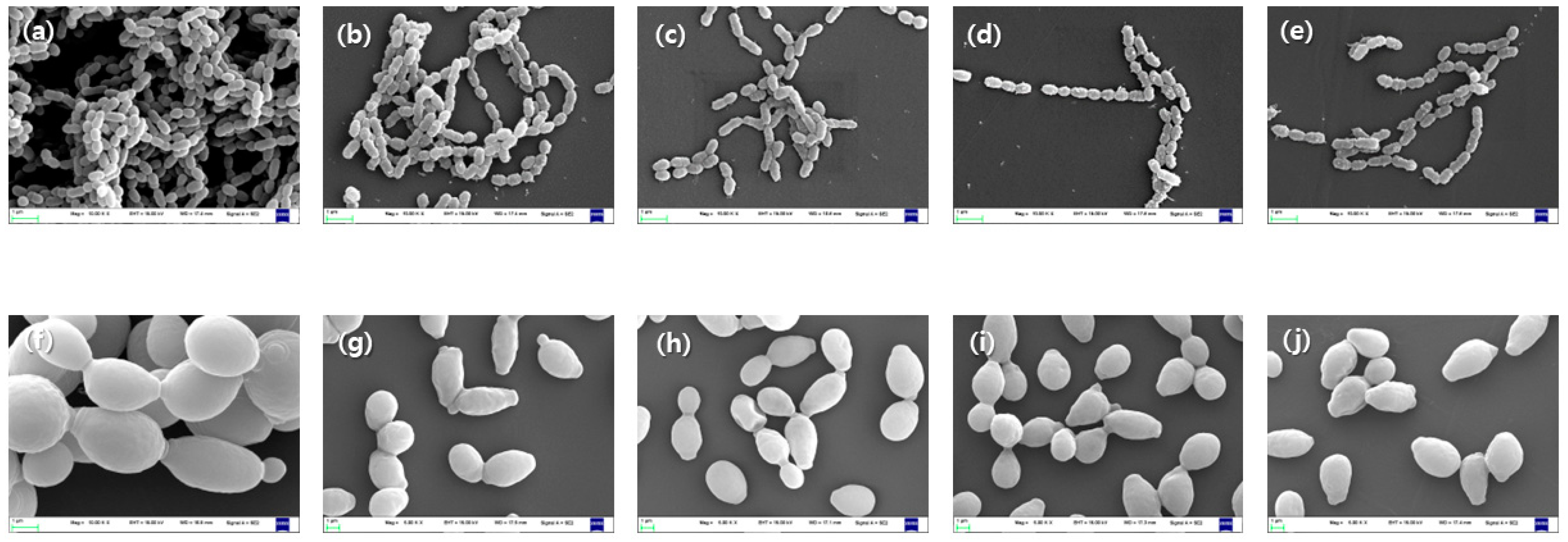 Medicina 58 01272 g006 550