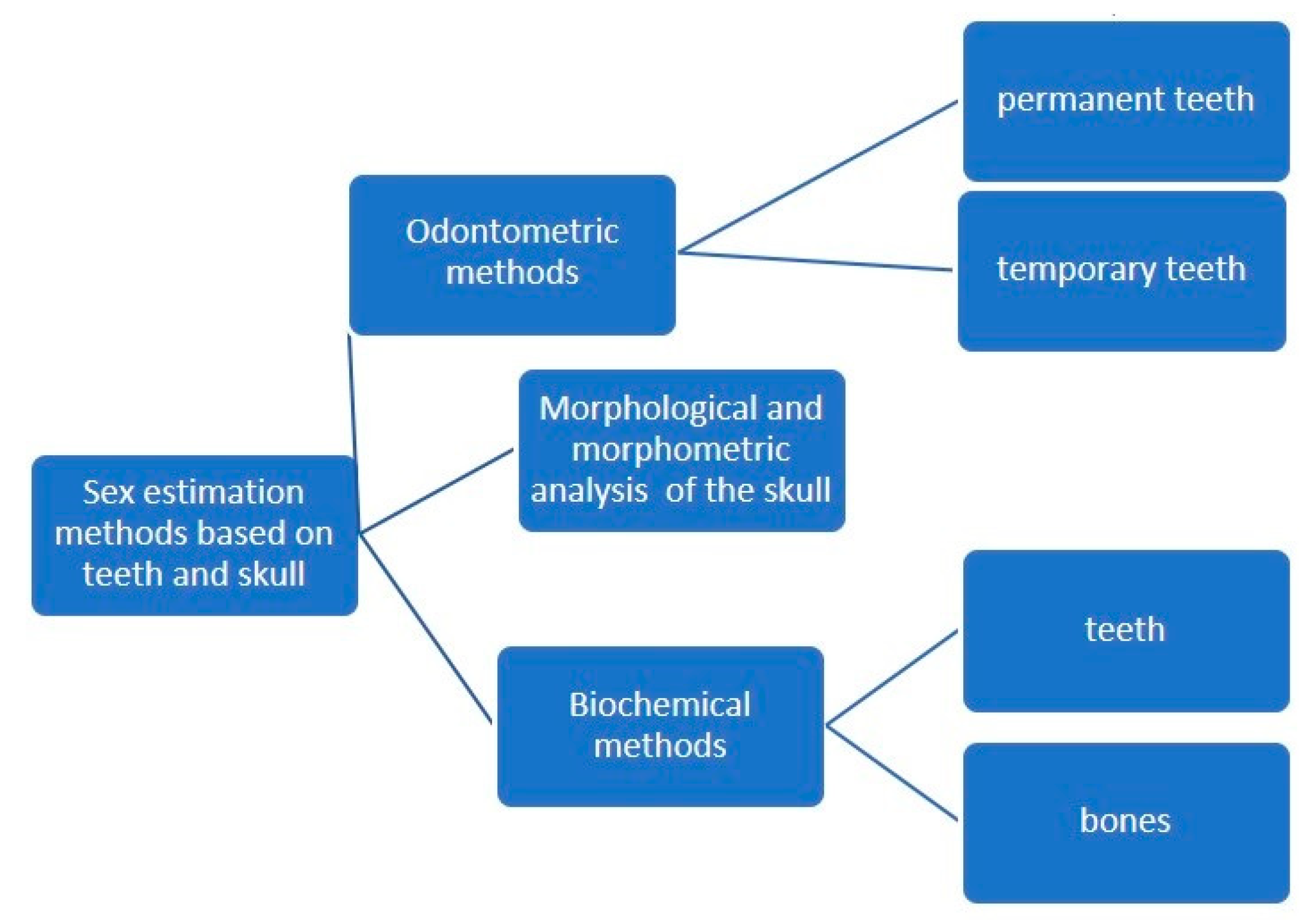 Medicina 58 01273 g001