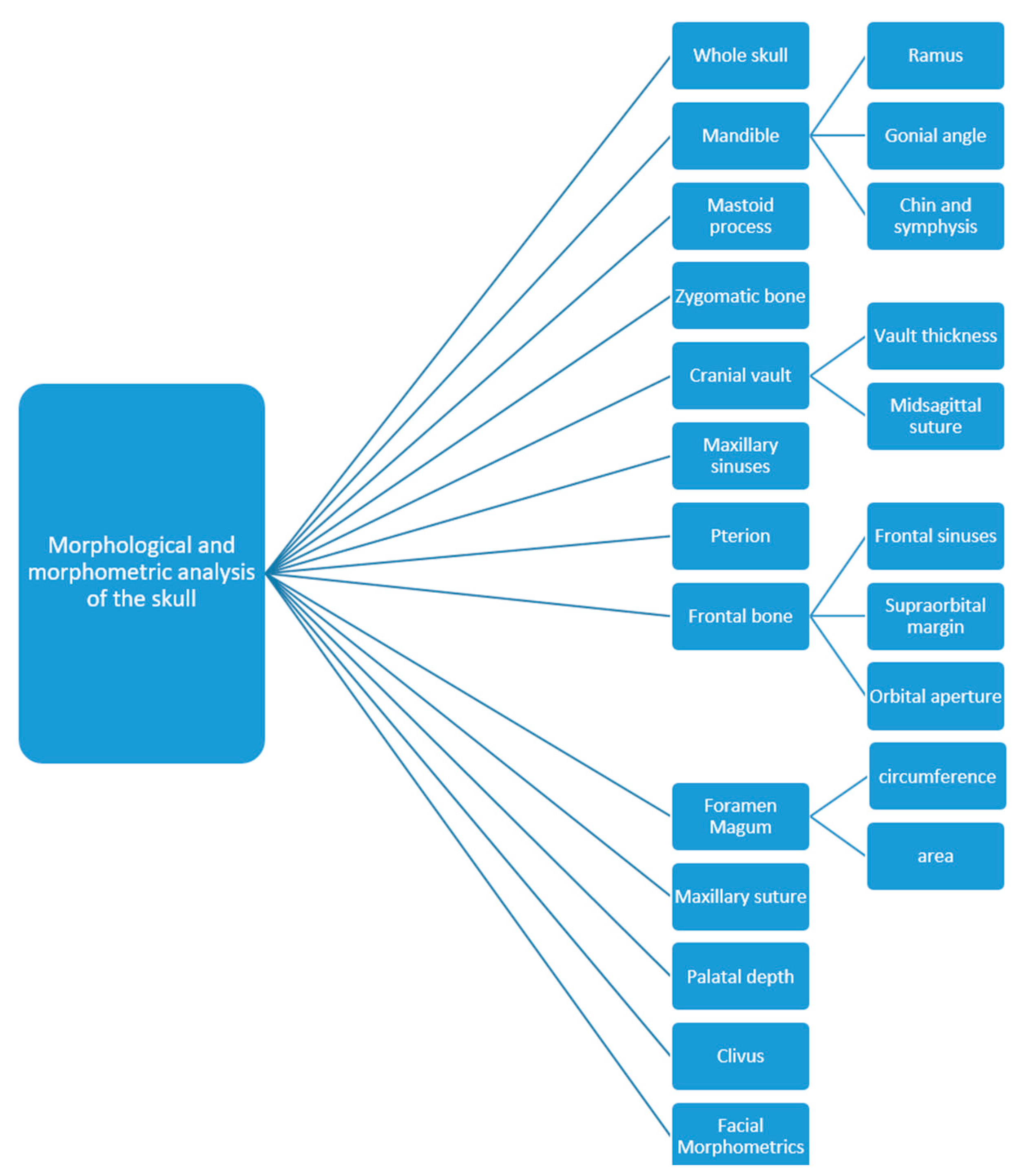 Medicina 58 01273 g002