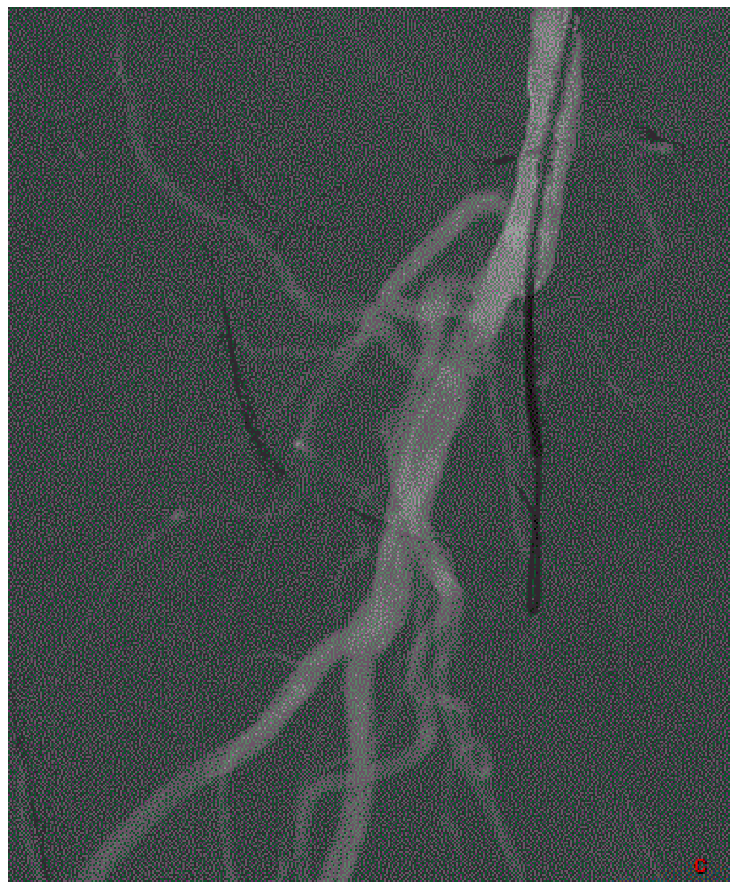 Medicina 58 01293 g004 Medicina 58 01293 g004