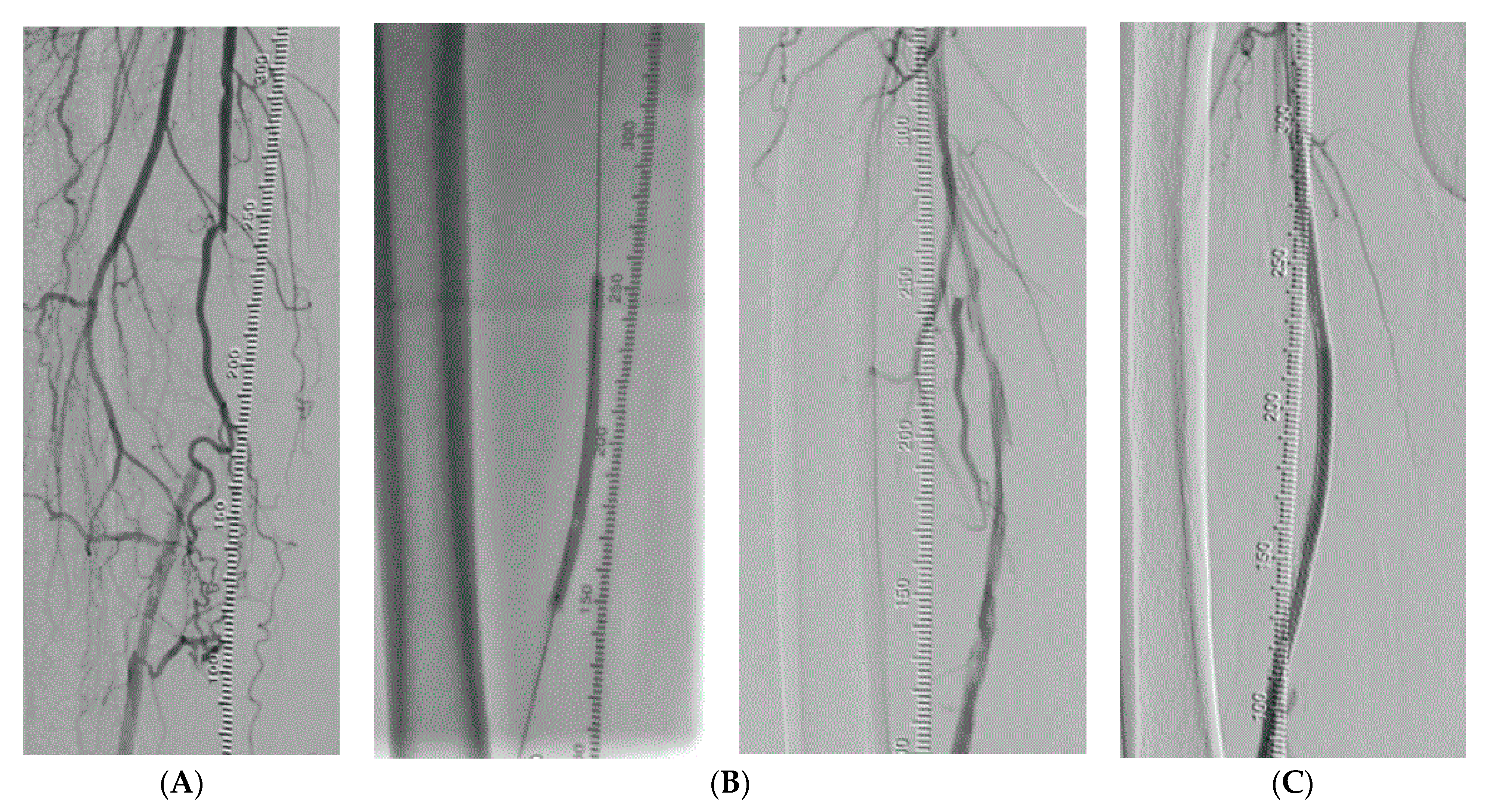 Medicina 58 01293 g005 Medicina 58 01293 g005