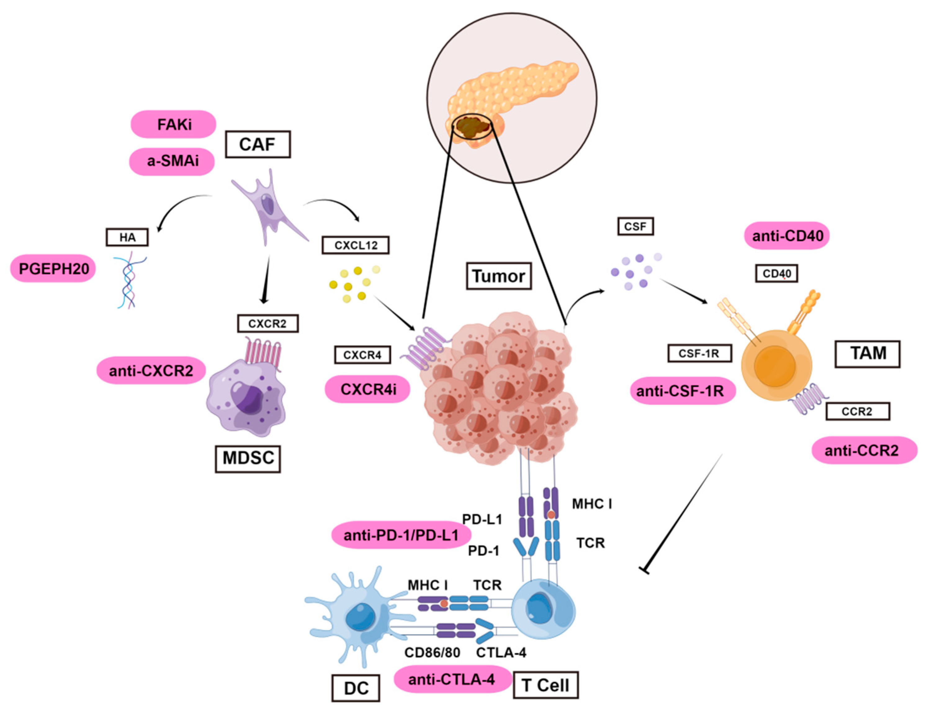 Medicina 58 01298 g001