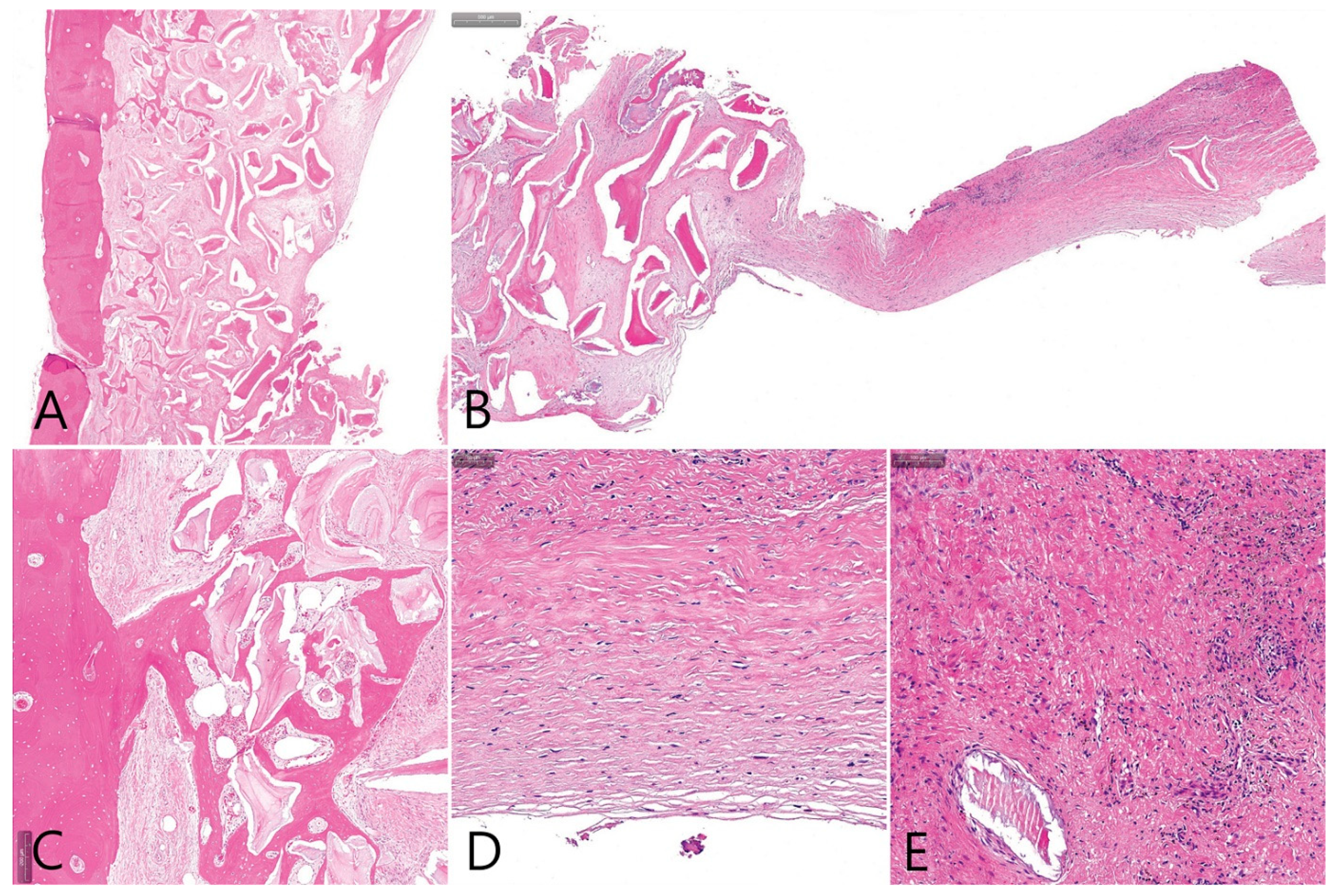 Medicina 58 01300 g006 550