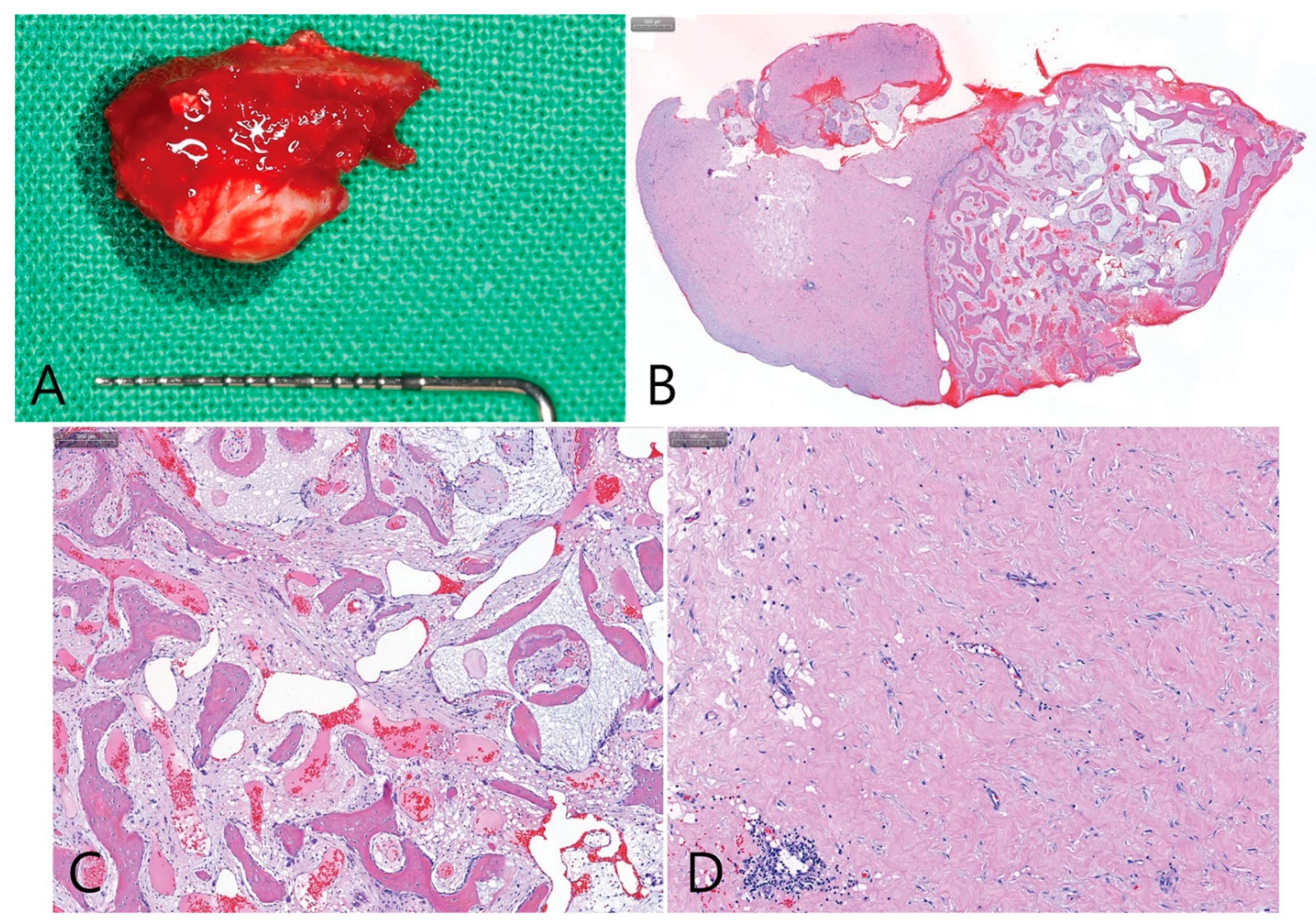 Medicina 58 01300 g012 550
