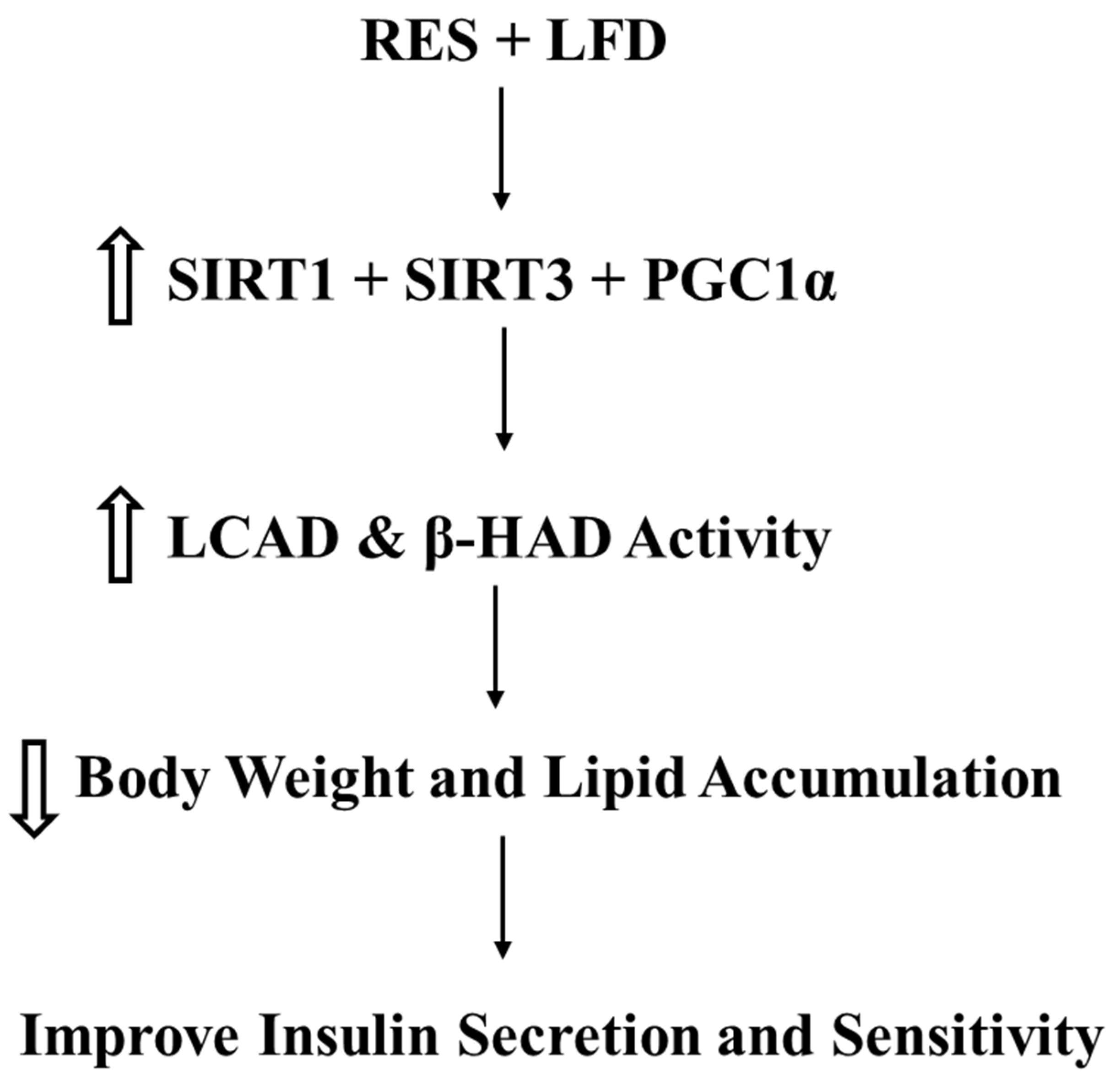 Medicina 58 01301 g005