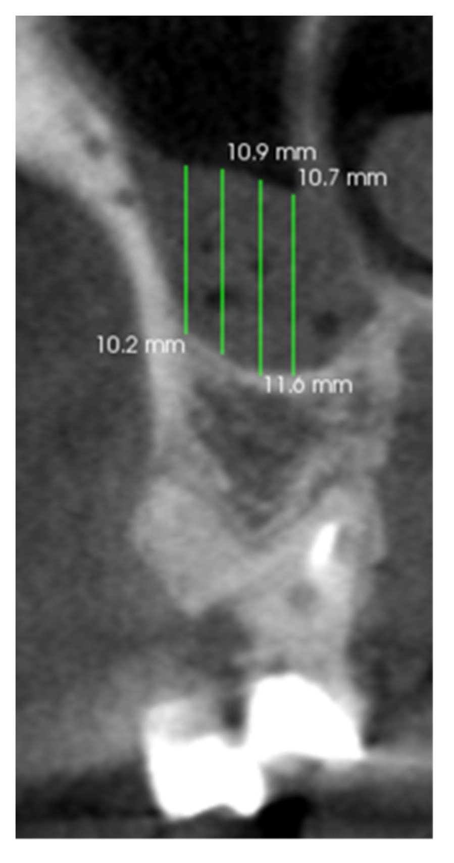 Medicina 58 01302 g001 550