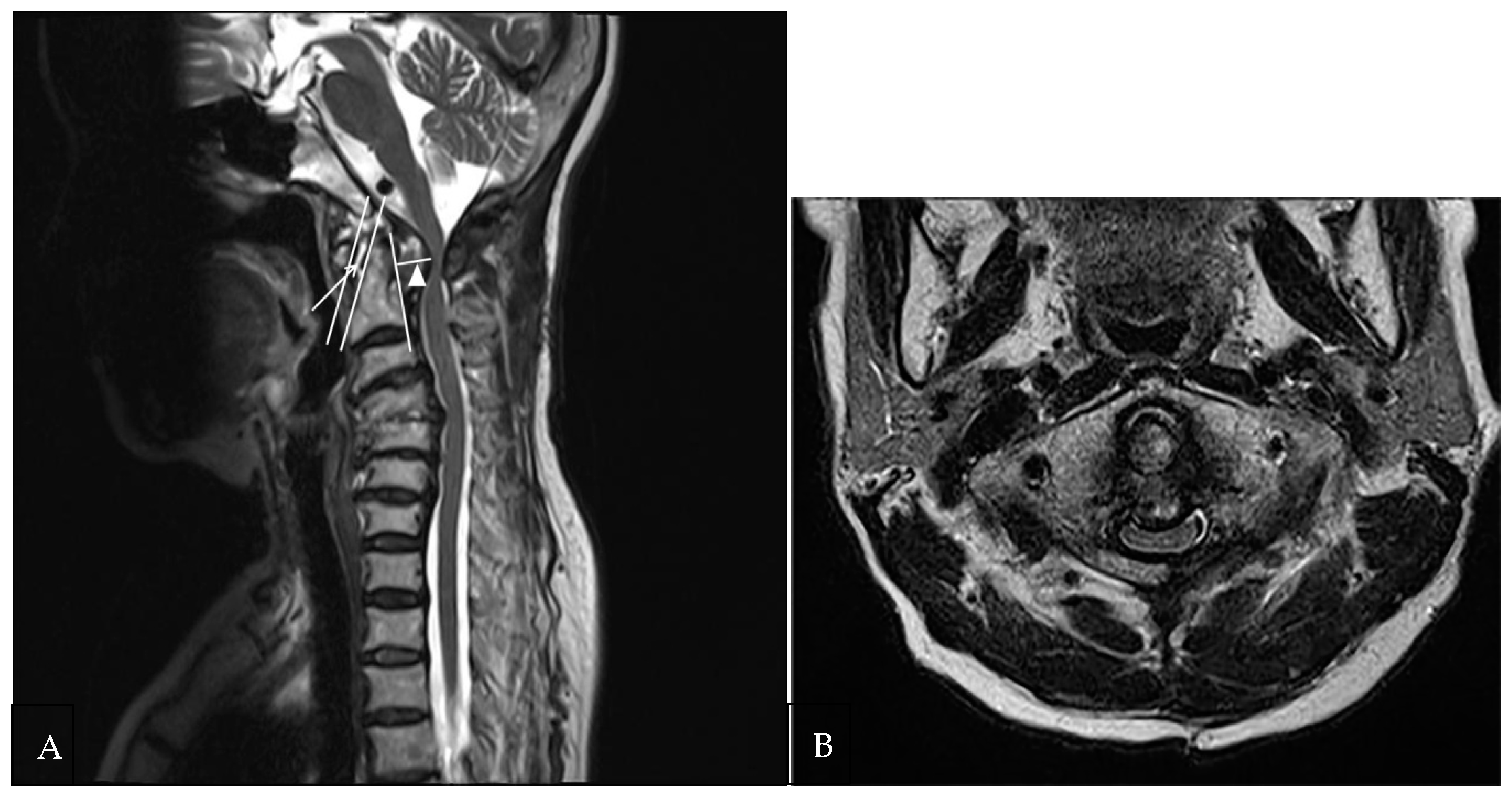 Medicina 58 01307 g002