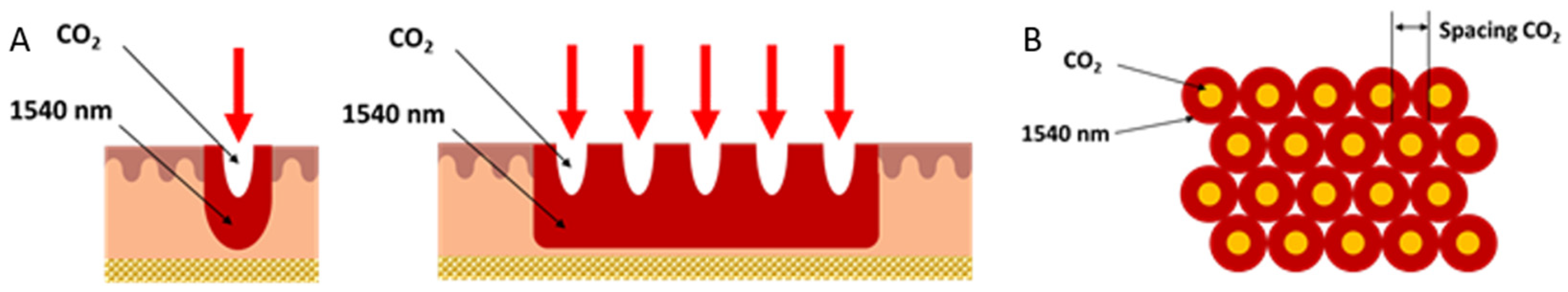Medicina 58 01308 g002