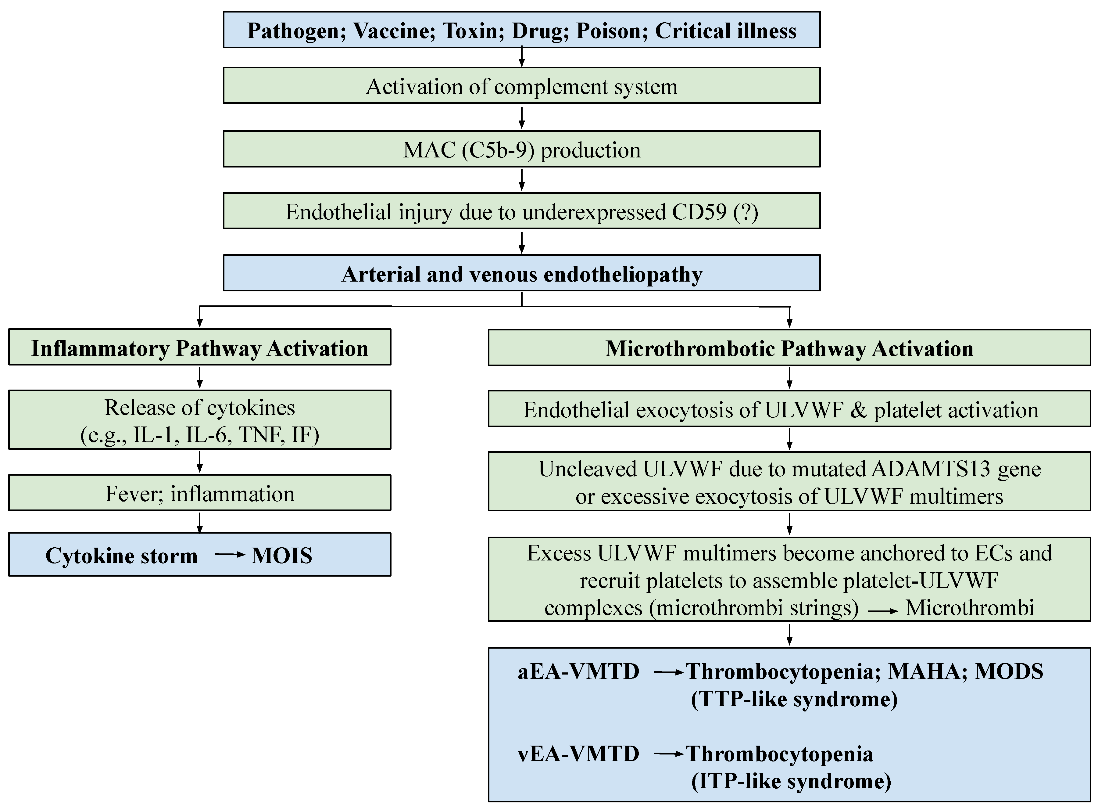 Medicina 58 01311 g001 Medicina 58 01311 g001