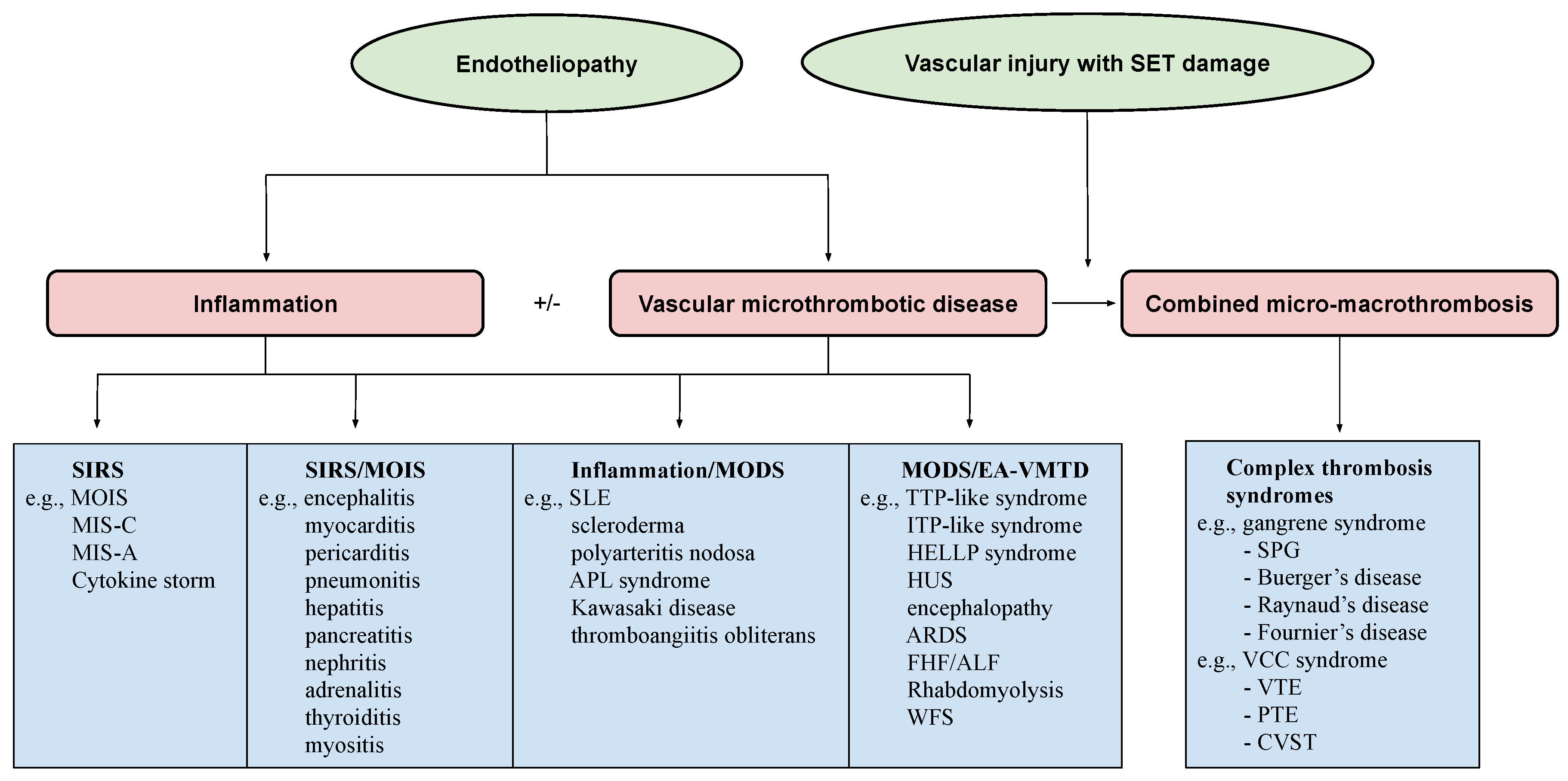 Medicina 58 01311 g004 Medicina 58 01311 g004