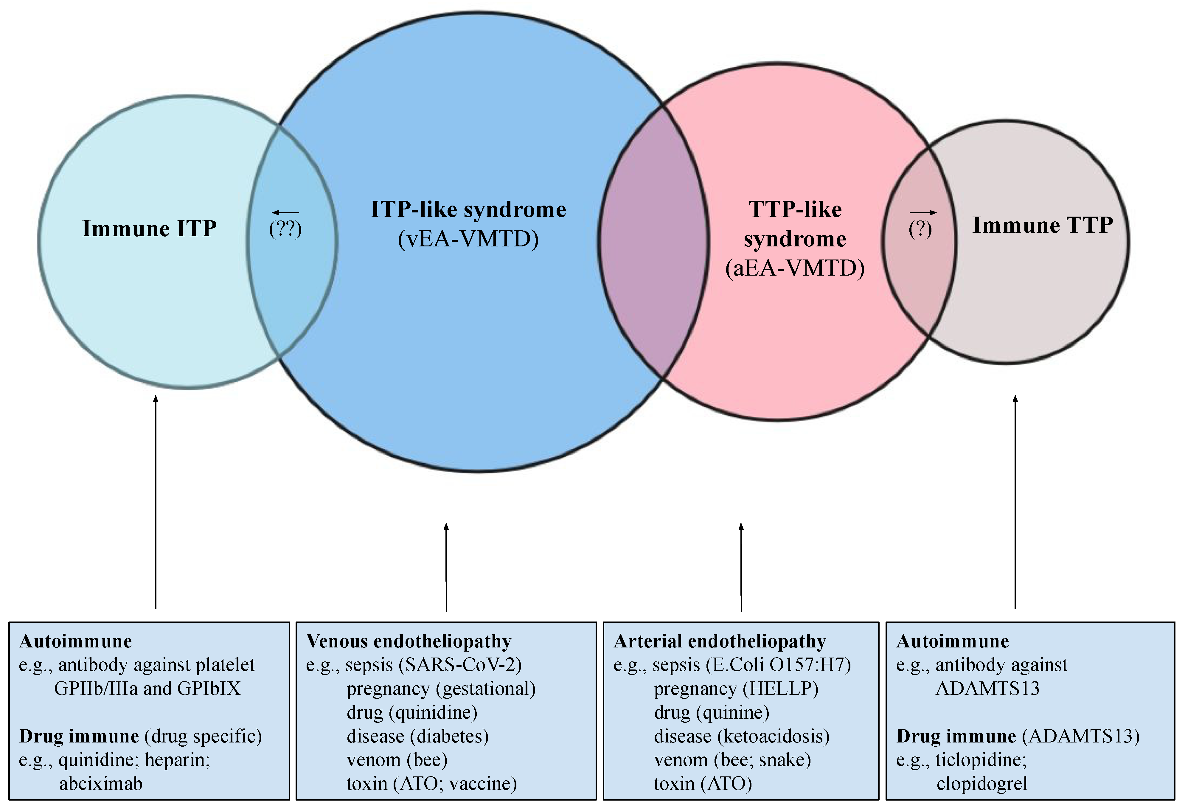Medicina 58 01311 g005 Medicina 58 01311 g005