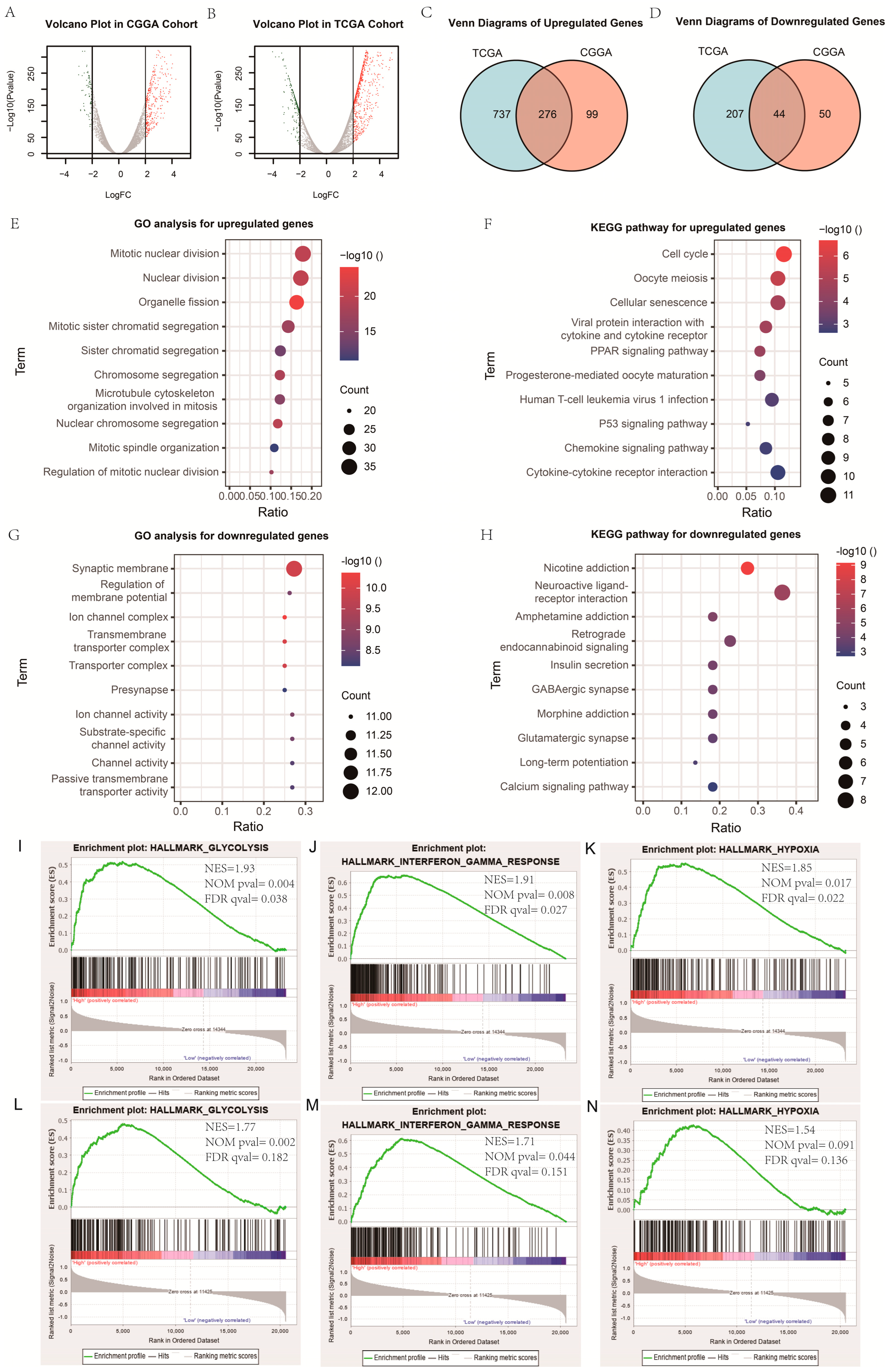 Medicina 58 01327 g001 Medicina 58 01327 g001