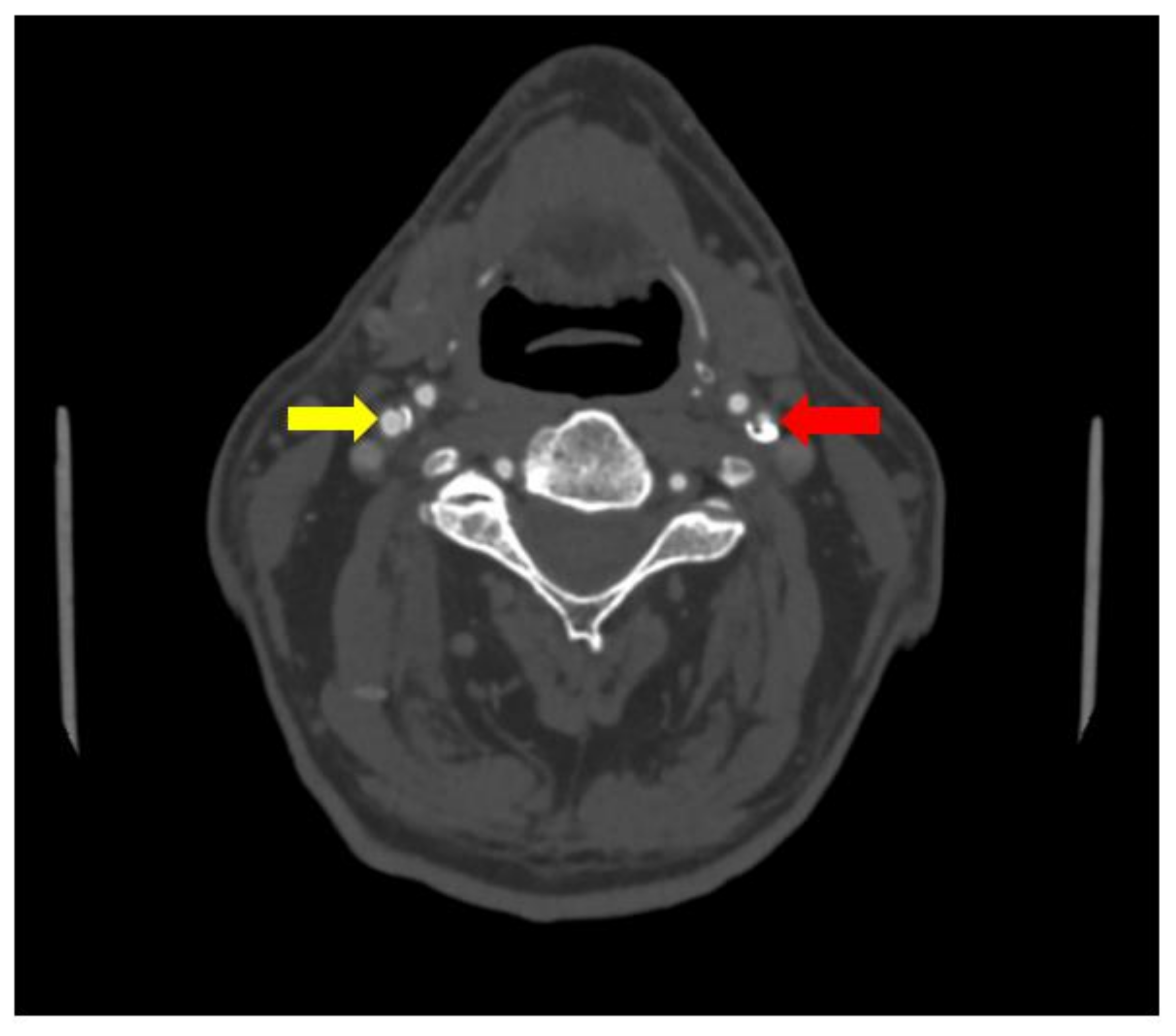 Medicina 58 01328 g002