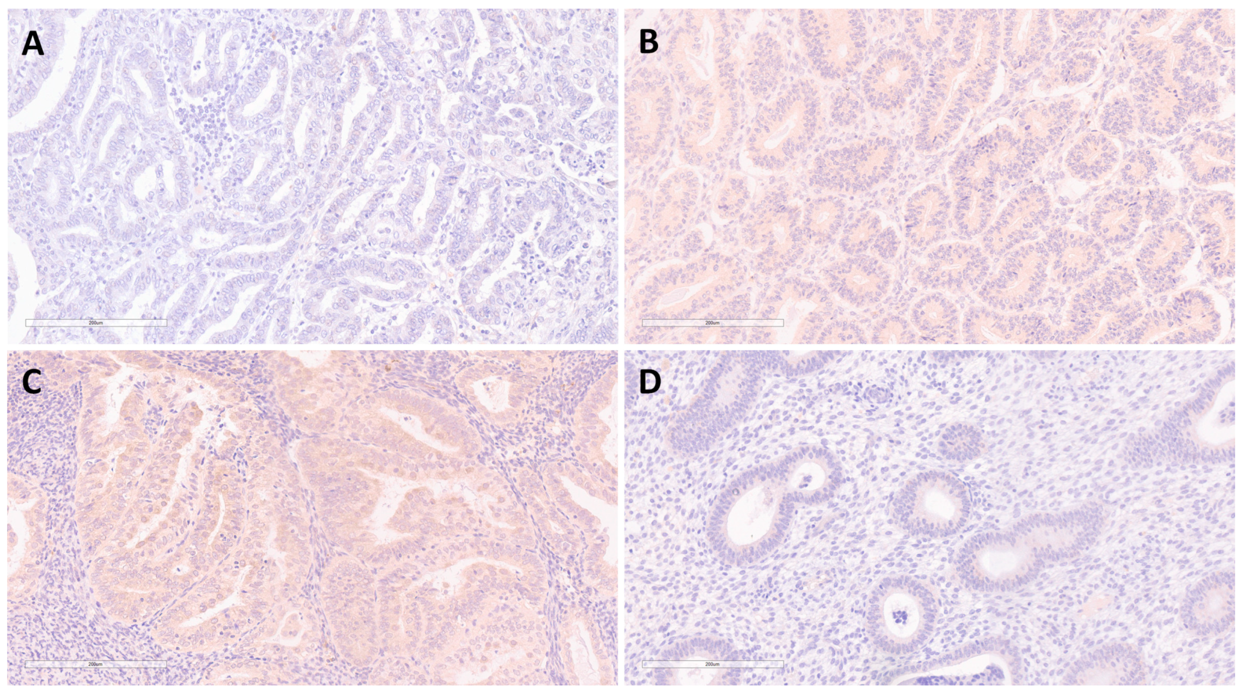 Medicina 58 01330 g003