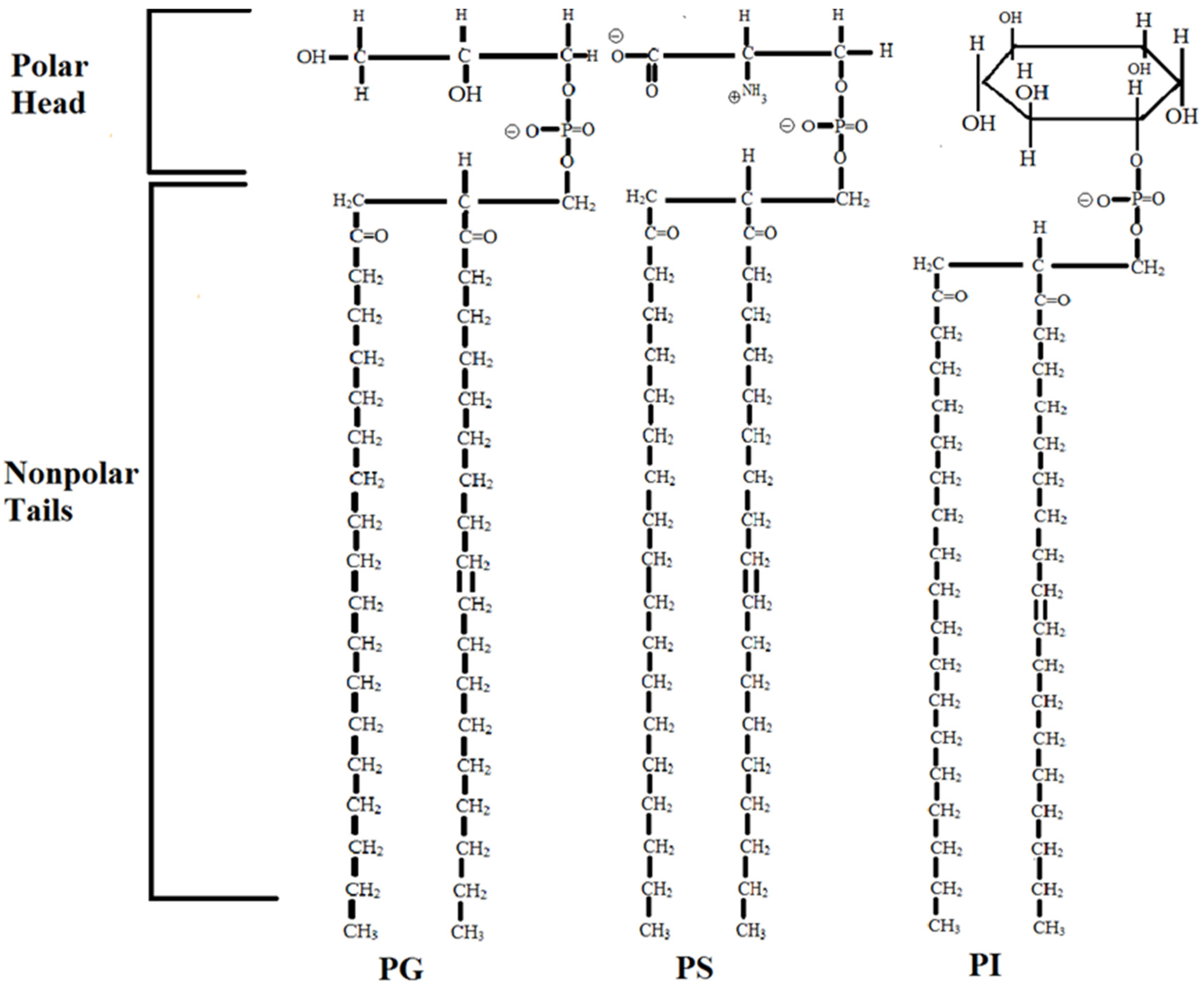 Medicina 58 01334 g001 Medicina 58 01334 g001