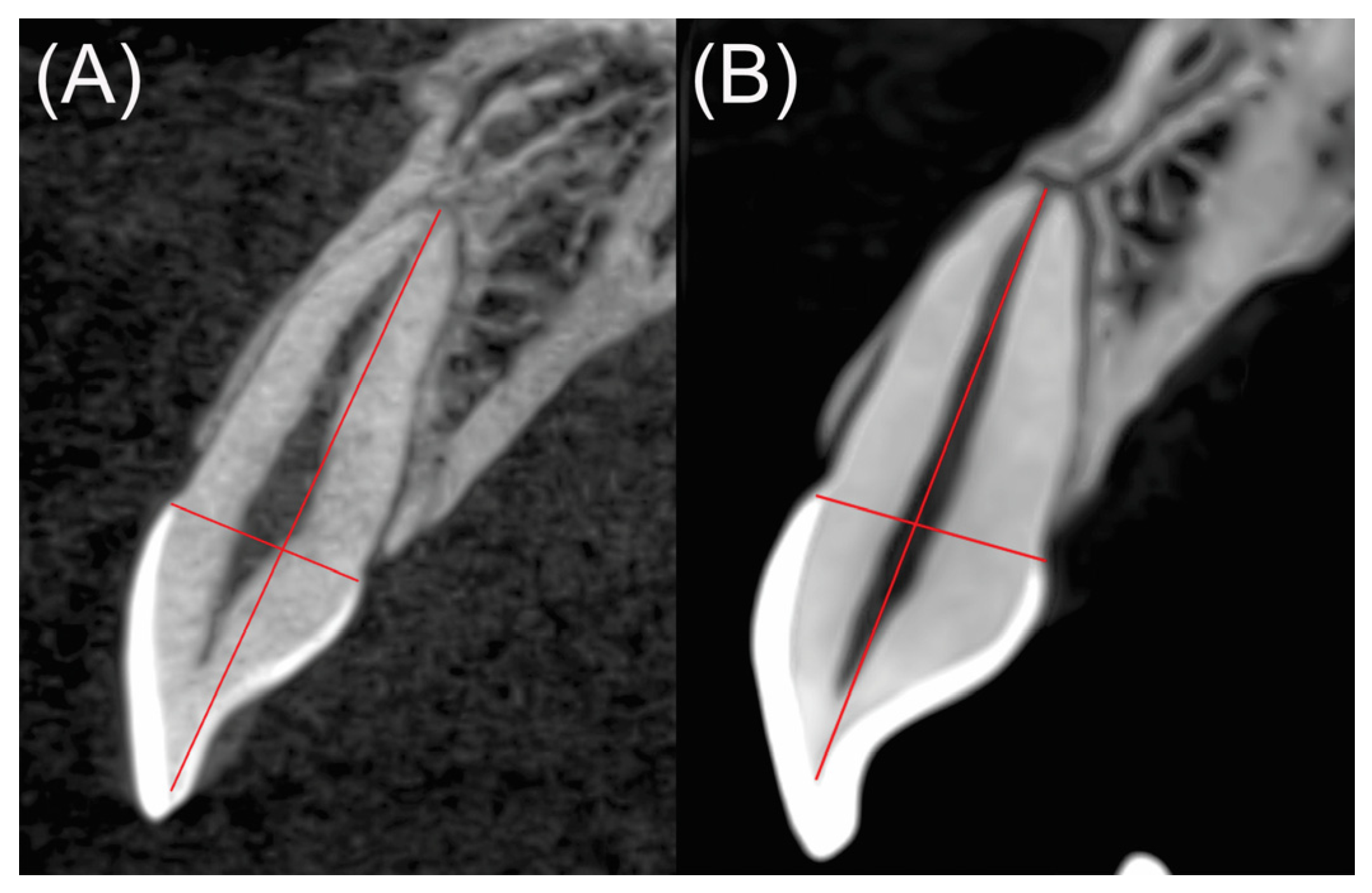 Medicina 58 01342 g001