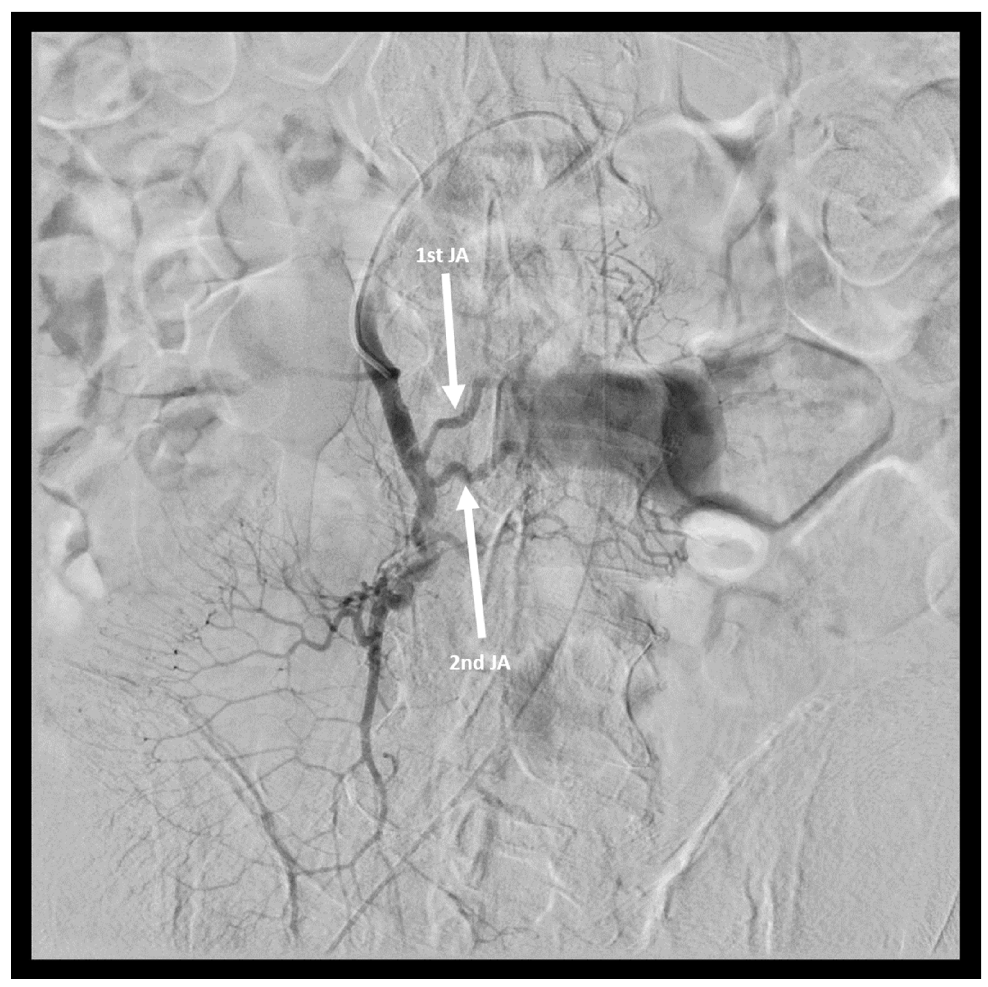 Medicina 58 01344 g002