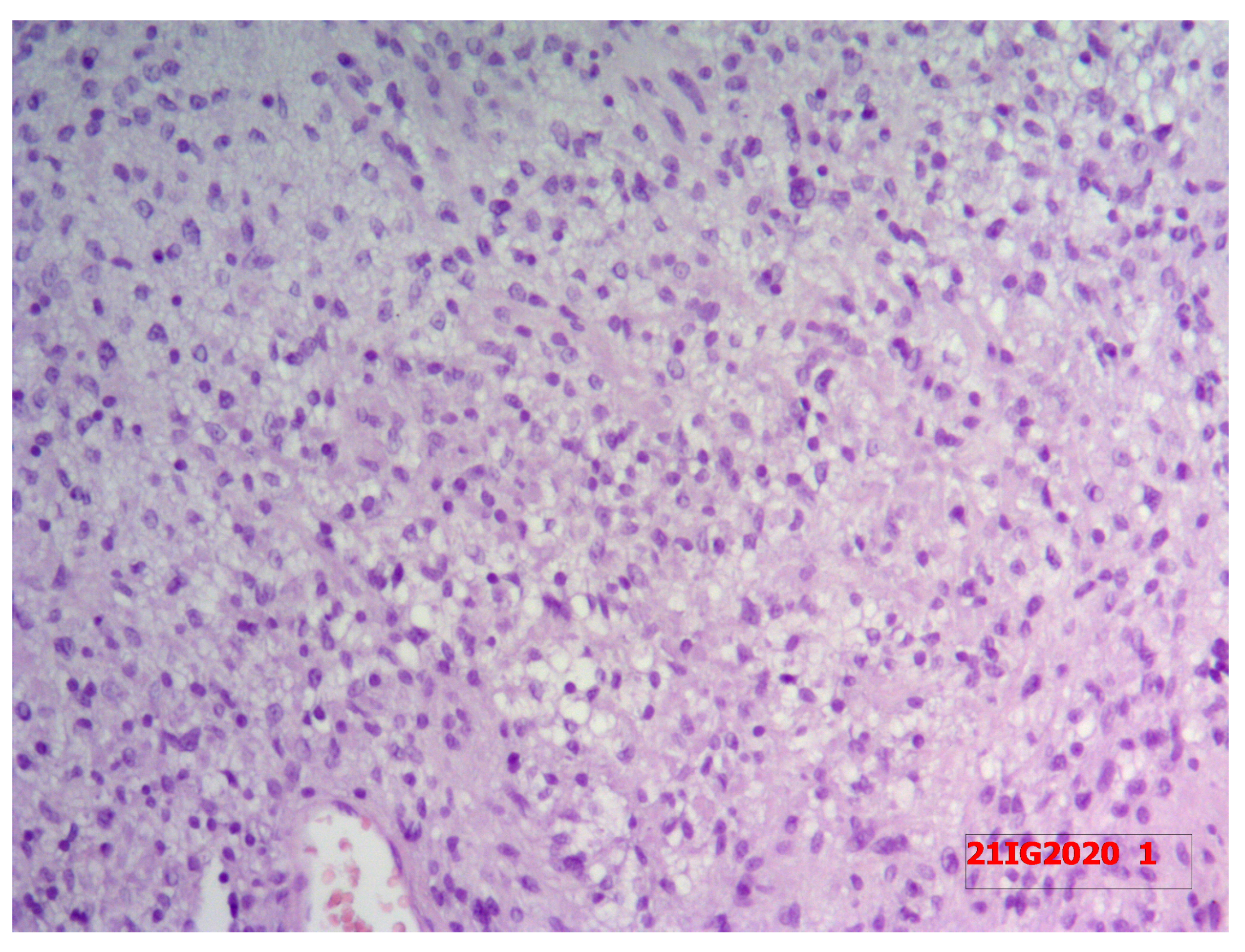 Medicina 58 01345 g004