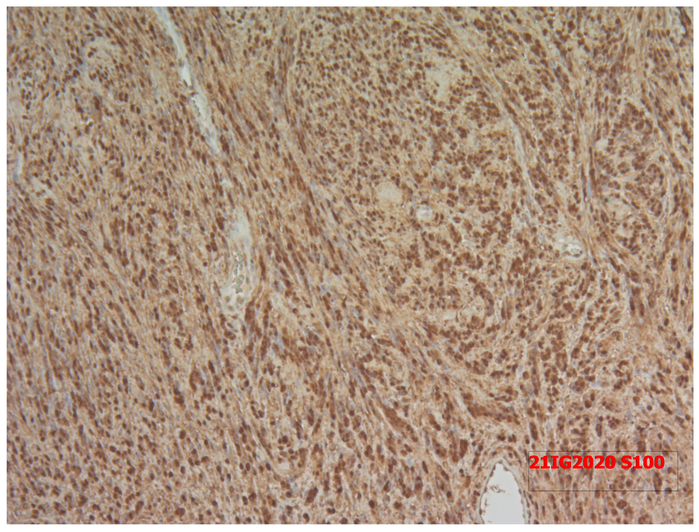 Medicina 58 01345 g006