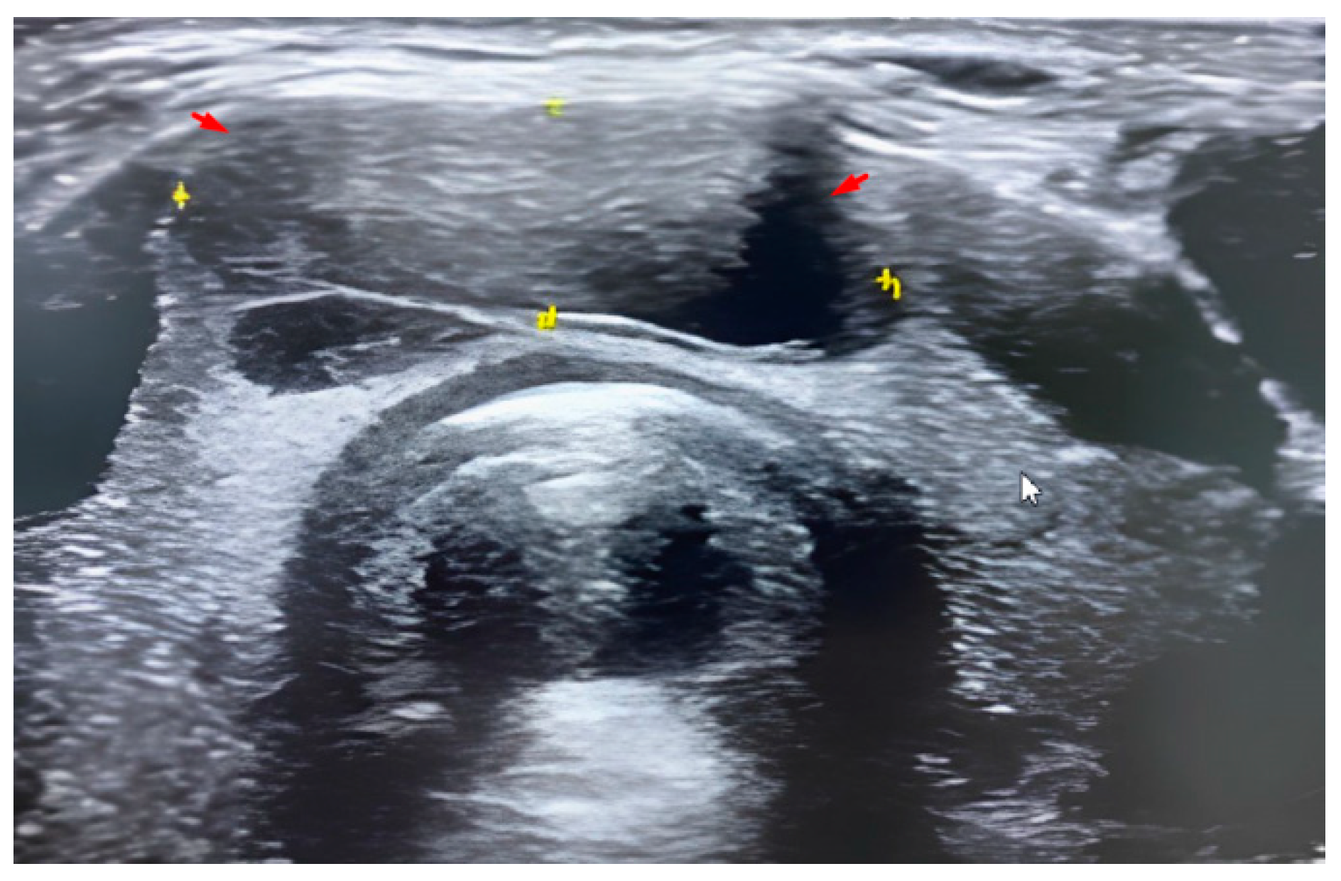 Medicina 58 01346 g001