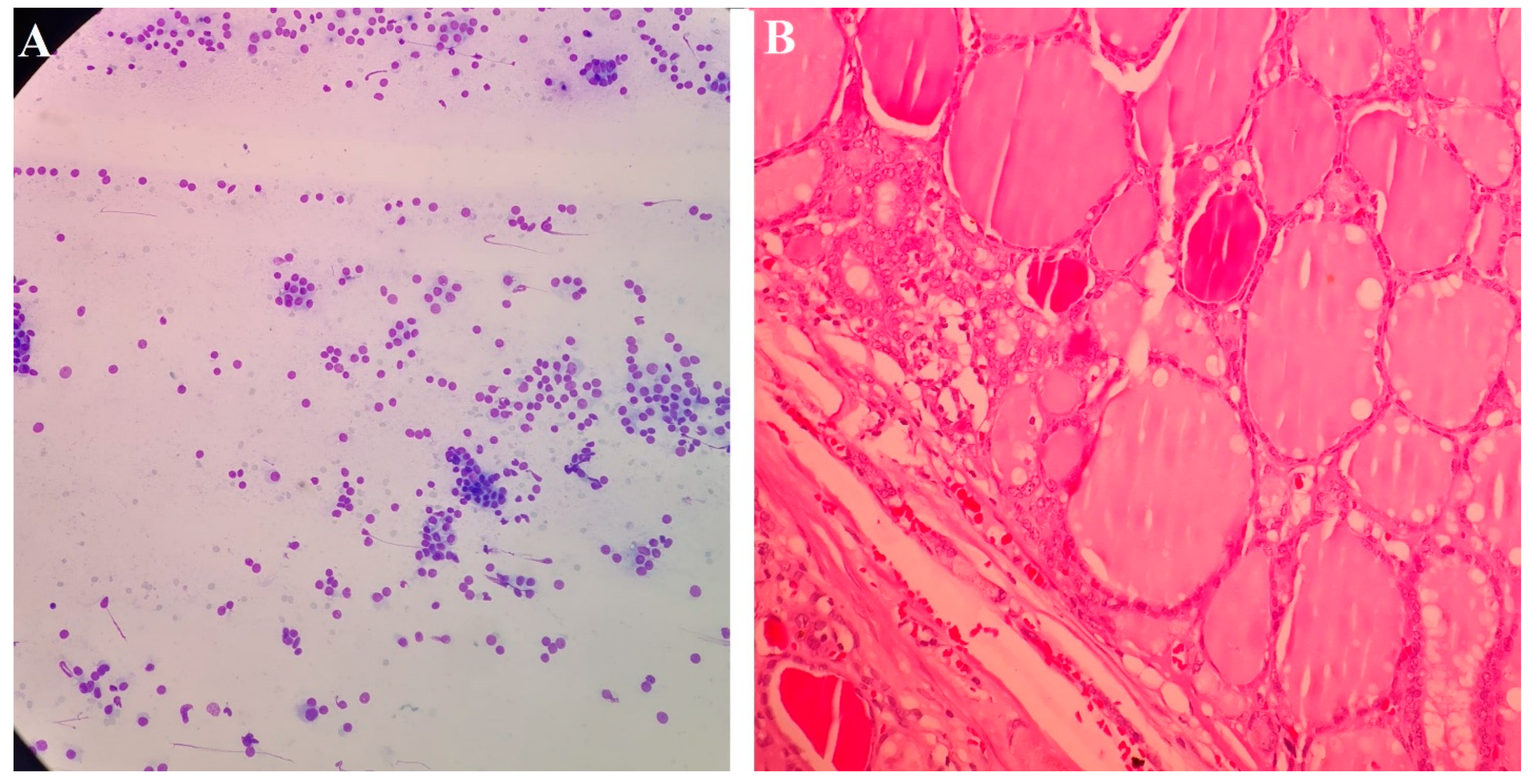 Medicina 58 01346 g002