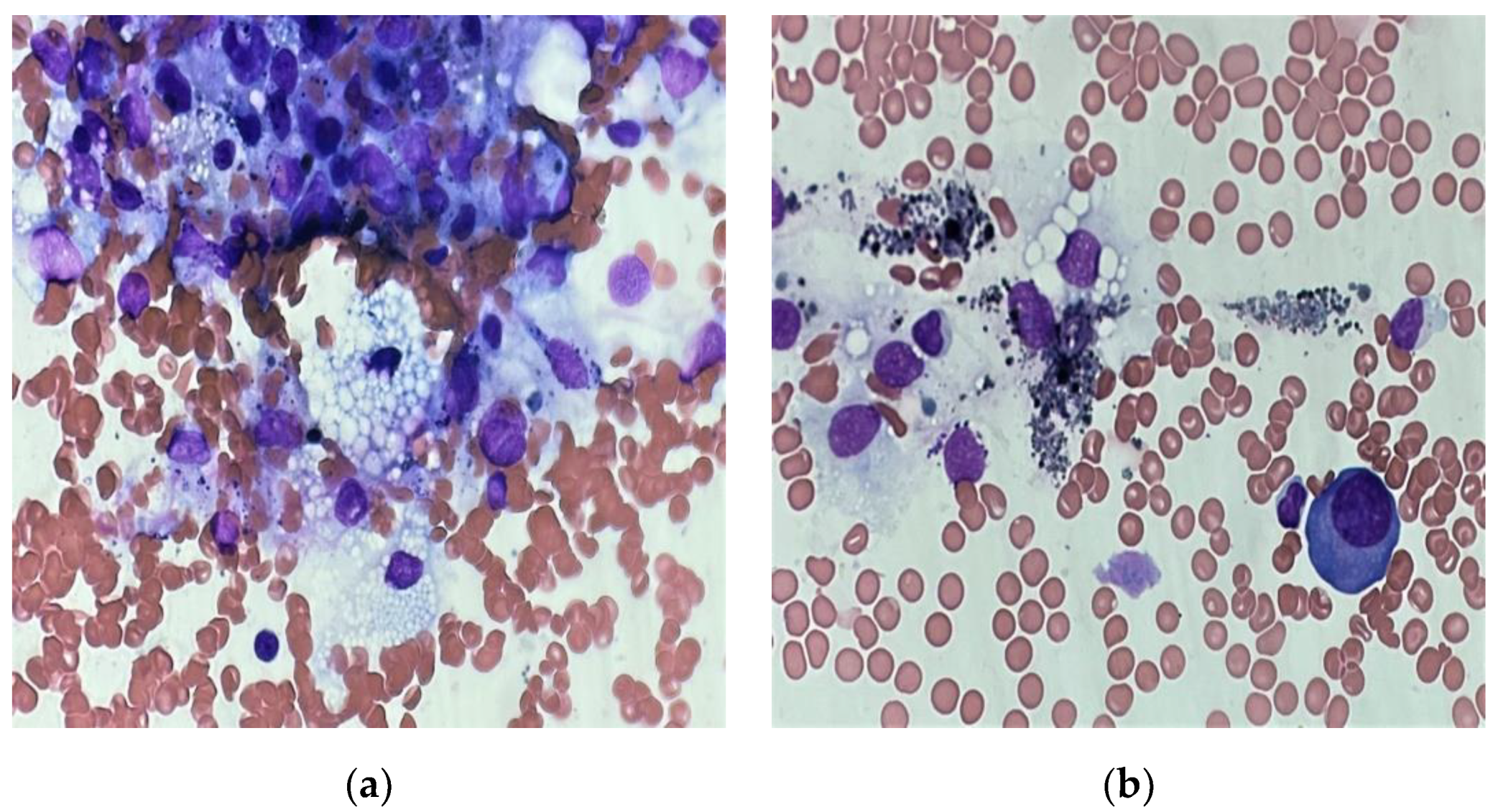 Medicina 58 01350 g003a Medicina 58 01350 g003a