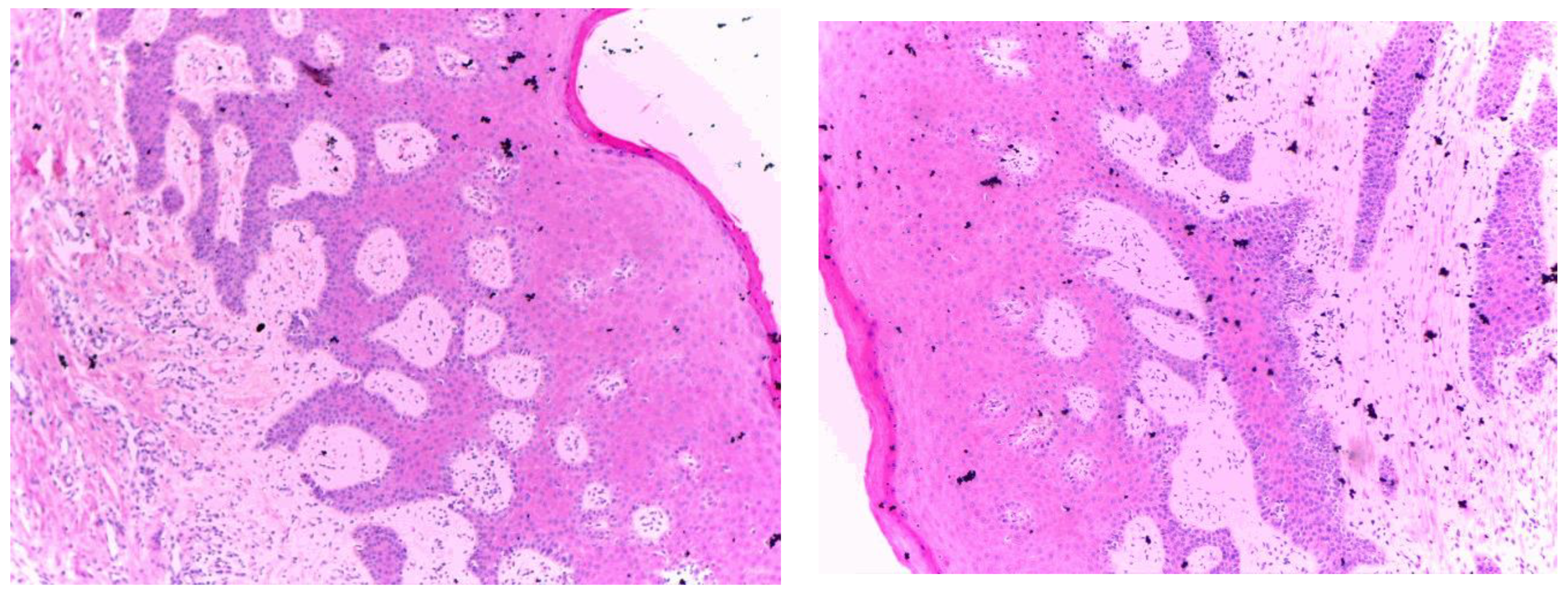 Medicina 58 01351 g002