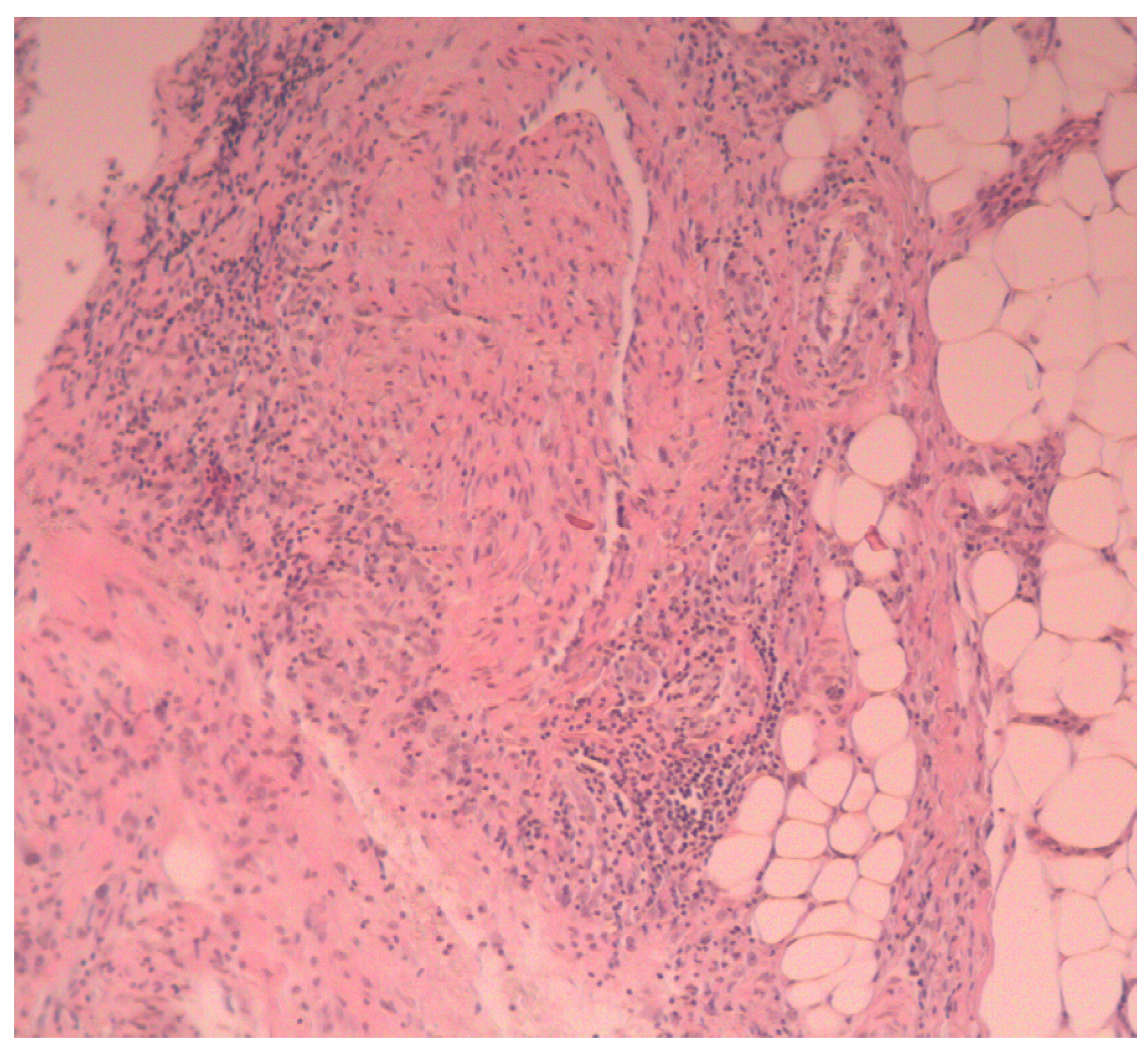 Medicina 58 01354 g003 550