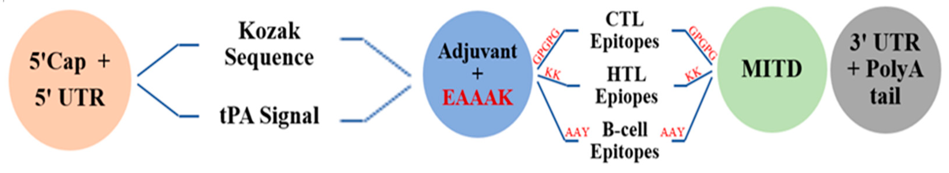 Medicina 58 01356 g002 Medicina 58 01356 g002